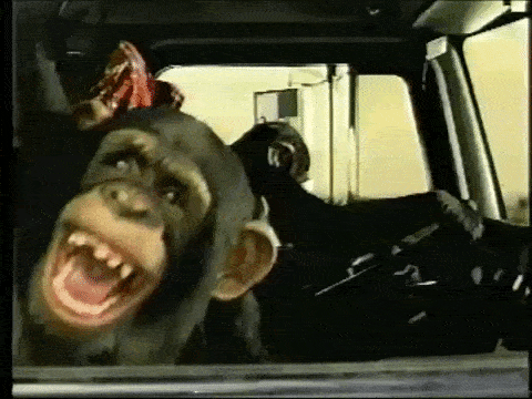Ford Bronco Need help identifying knocking/rattle source {solved} chimps in OP truck