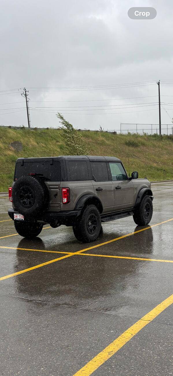 Ford Bronco Marsh Gray IMG_0360