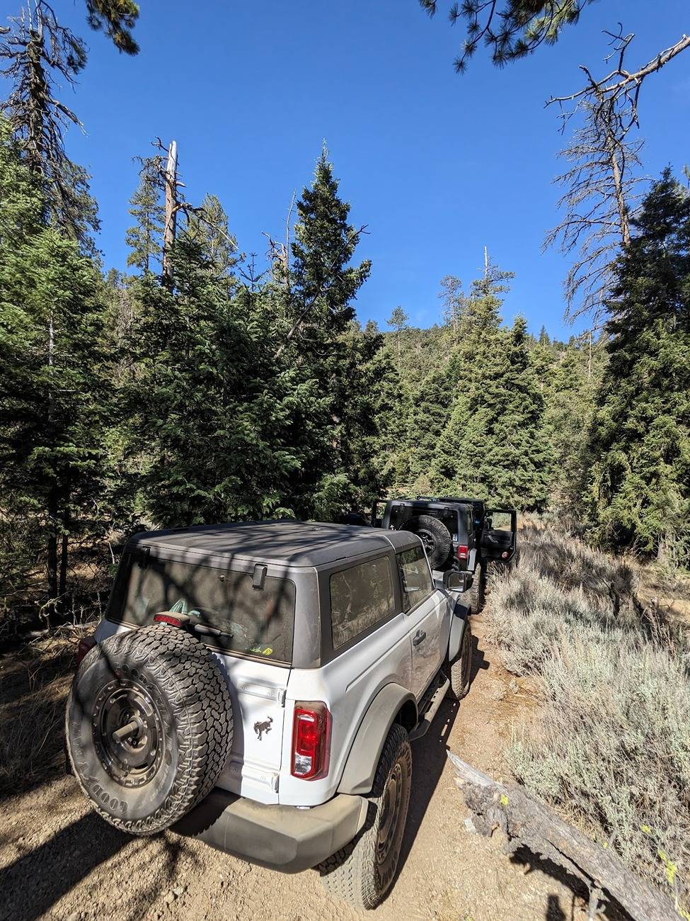 Ford Bronco Two Door Tuesday Lets See Them Two Doors PXL_20250726_163915094