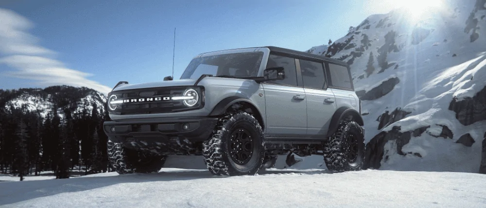 Ford Bronco delete e91ec050c158c71fc7702775eccdd40a