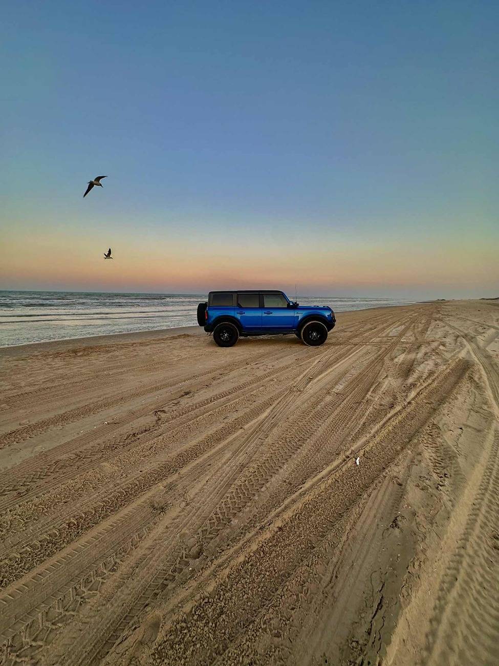 Ford Bronco Random Bronco Photos of the Day Thread! 📸 🤳 a6eace37-111c-40ee-b8f6-e85161f45e40
