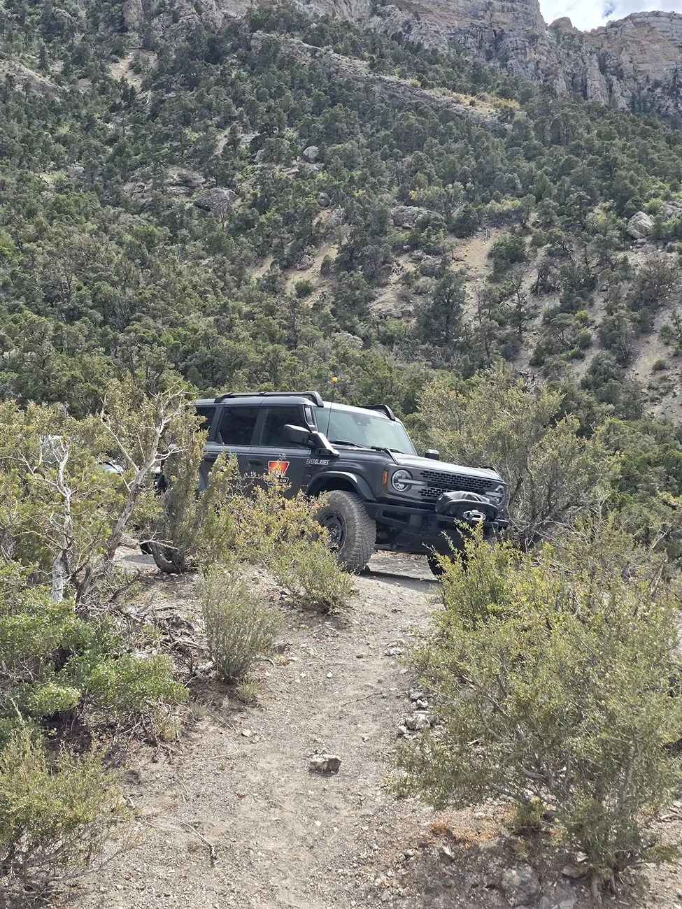 Ford Bronco Bronco Off Rodeo at Mt. Potosi (Vegas) 20250725_151433