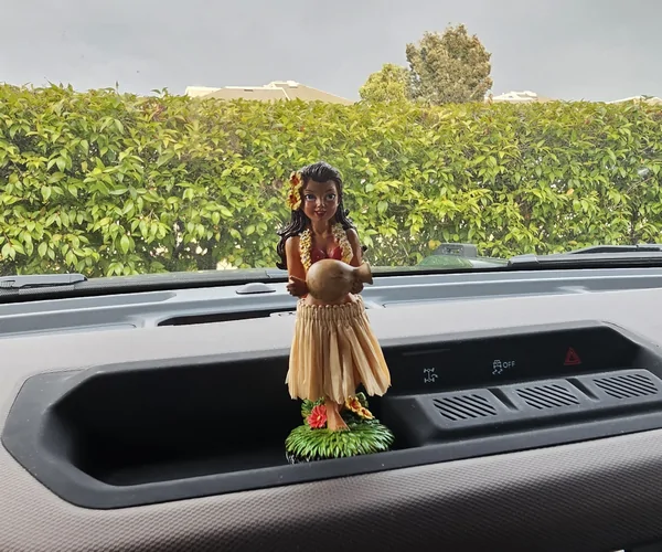 Ford Bronco My First Rubber Duck? 1754169947283-9