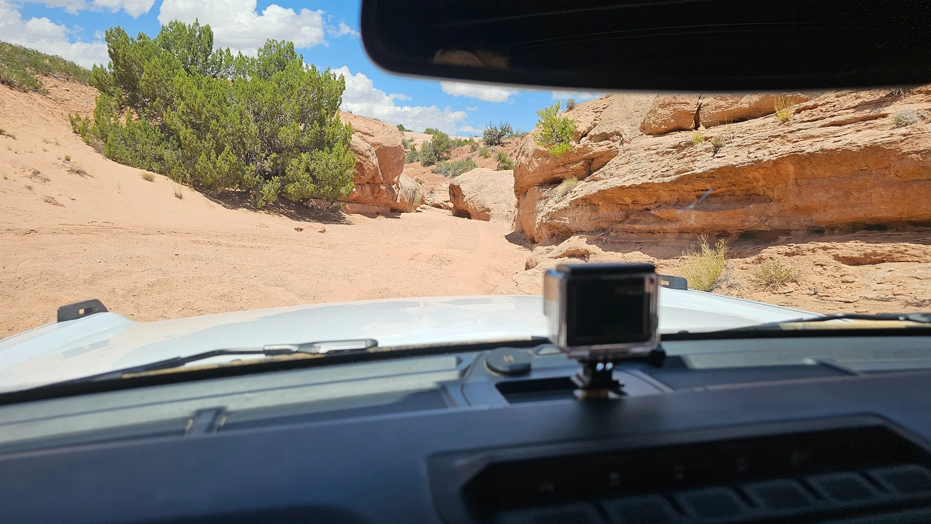 Ford Bronco Moab 8/1 1000020386