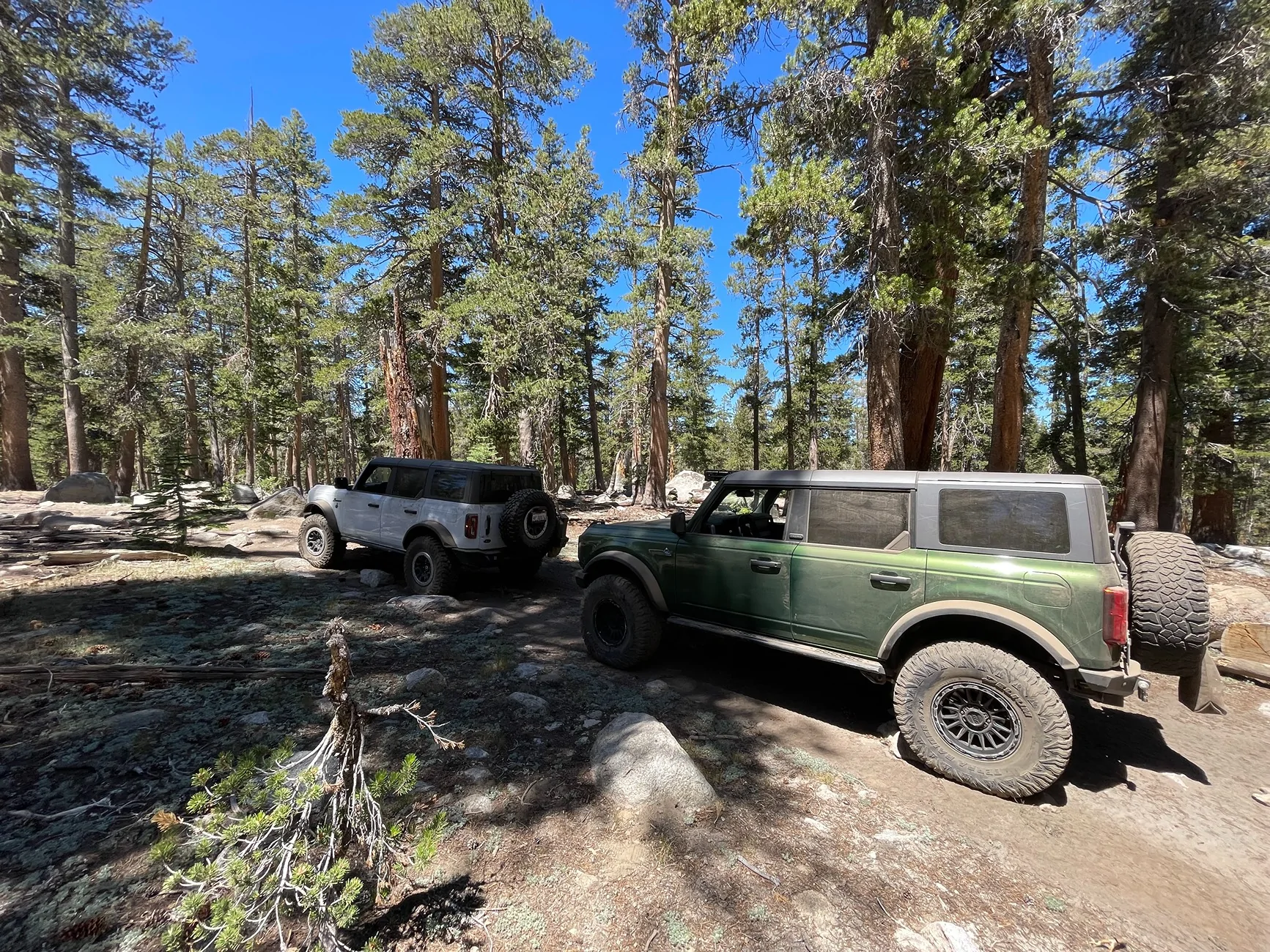 Ford Bronco Dusy-Ershim Trail Trip Aug 3-8, 2025 IMG_3824