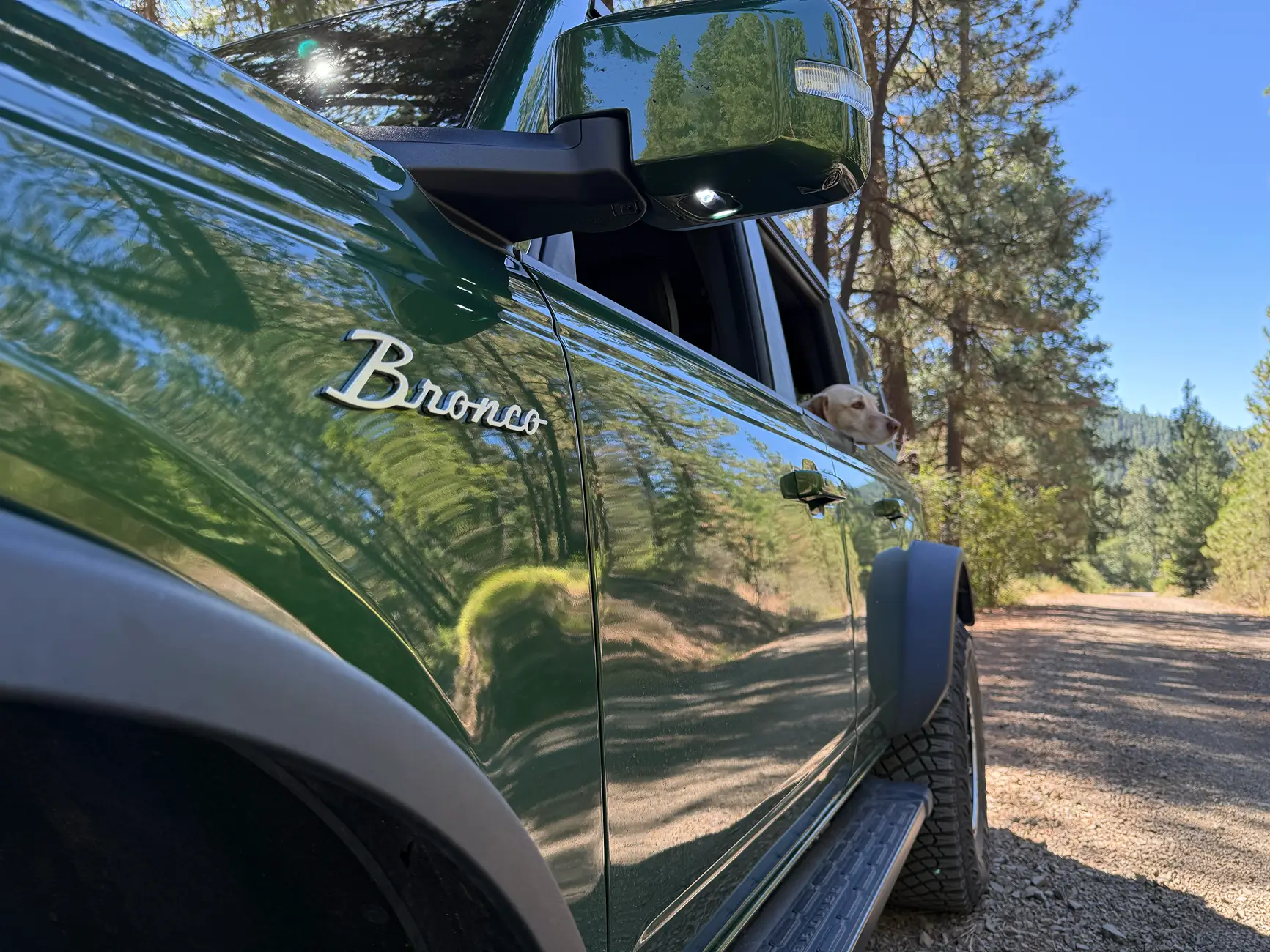 Ford Bronco Making my own retro Bronco script emblem template tempImagenNGcVR