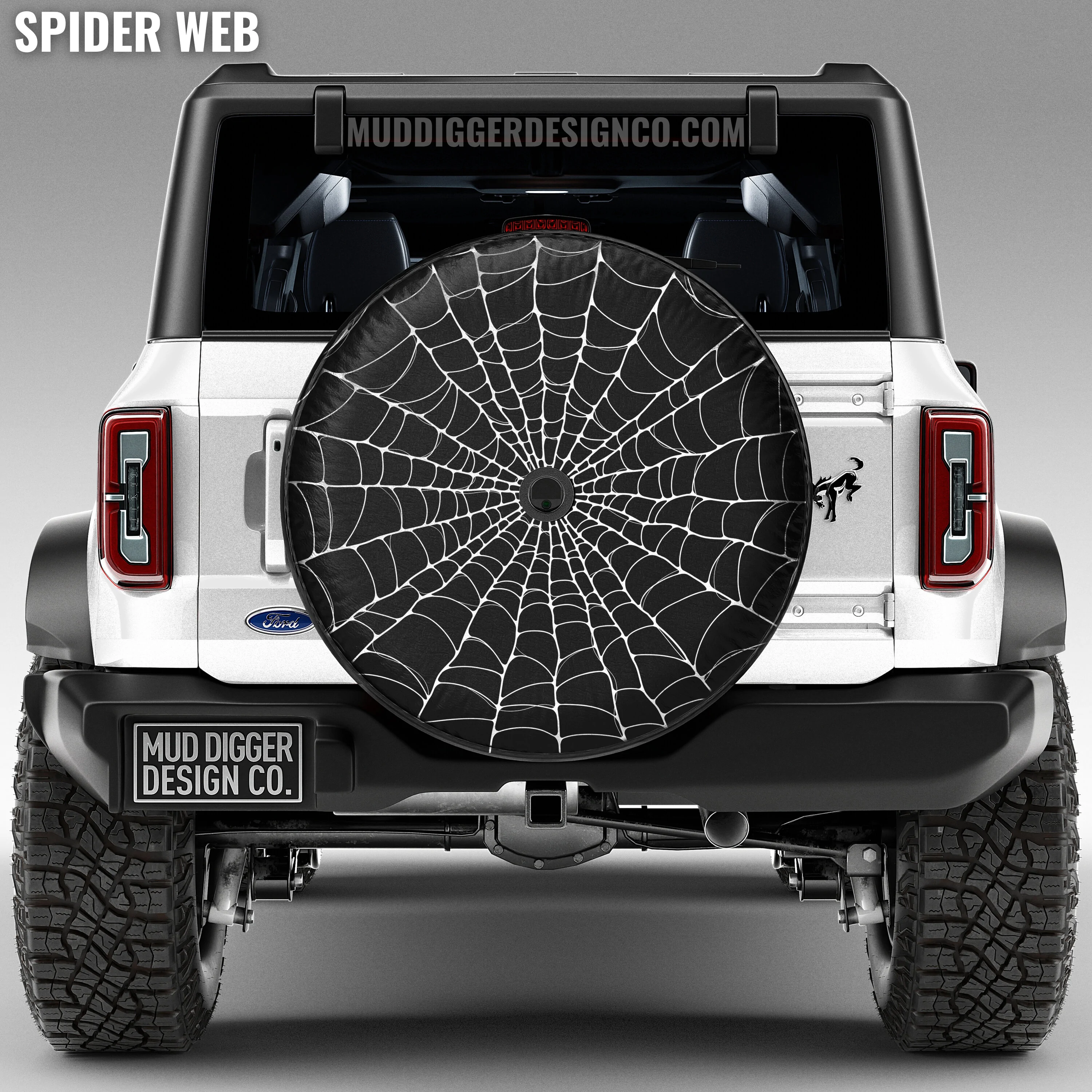 SPIDER WEB.jpg