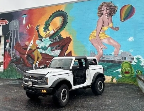 Ford Bronco Run front roof panel without rear. Mural1