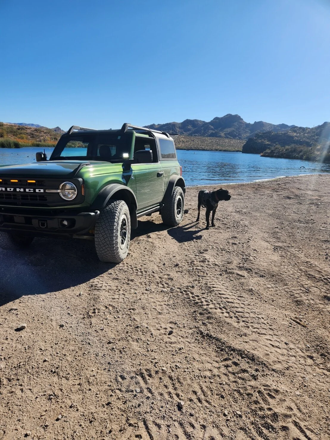 Ford Bronco New Member 20241130_130345