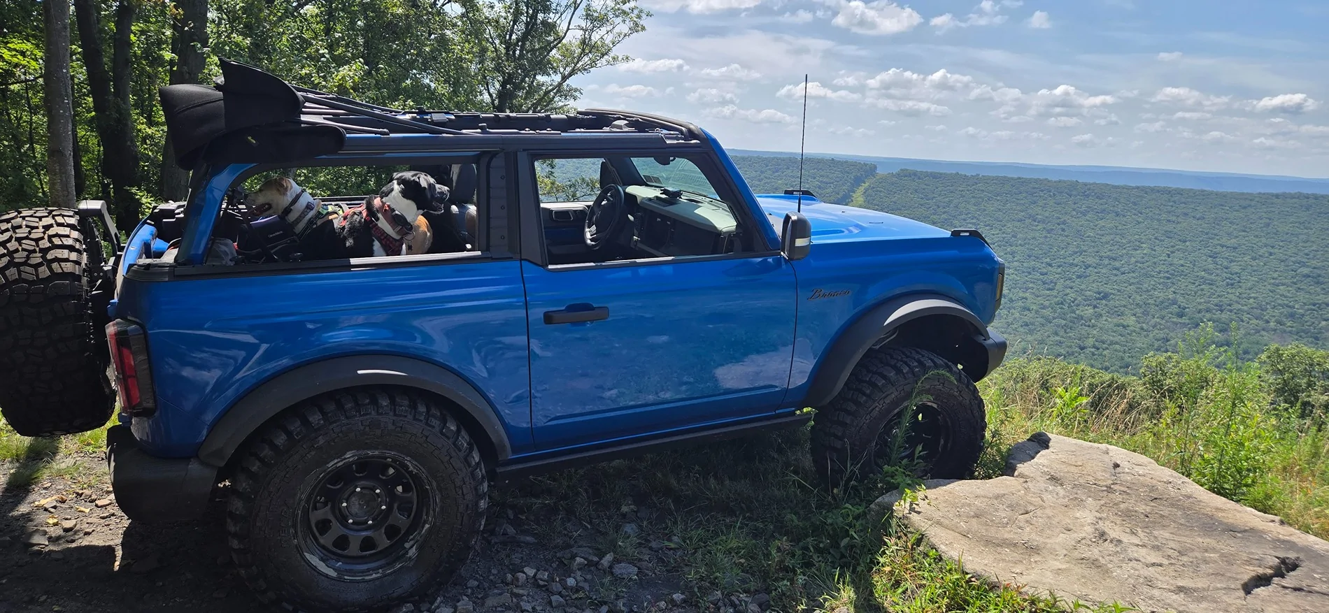 Ford Bronco AOAA _ August 9th 1000005424