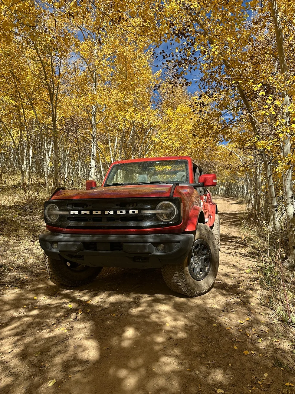 Ford Bronco Year 2 with Pepper IMG_6469