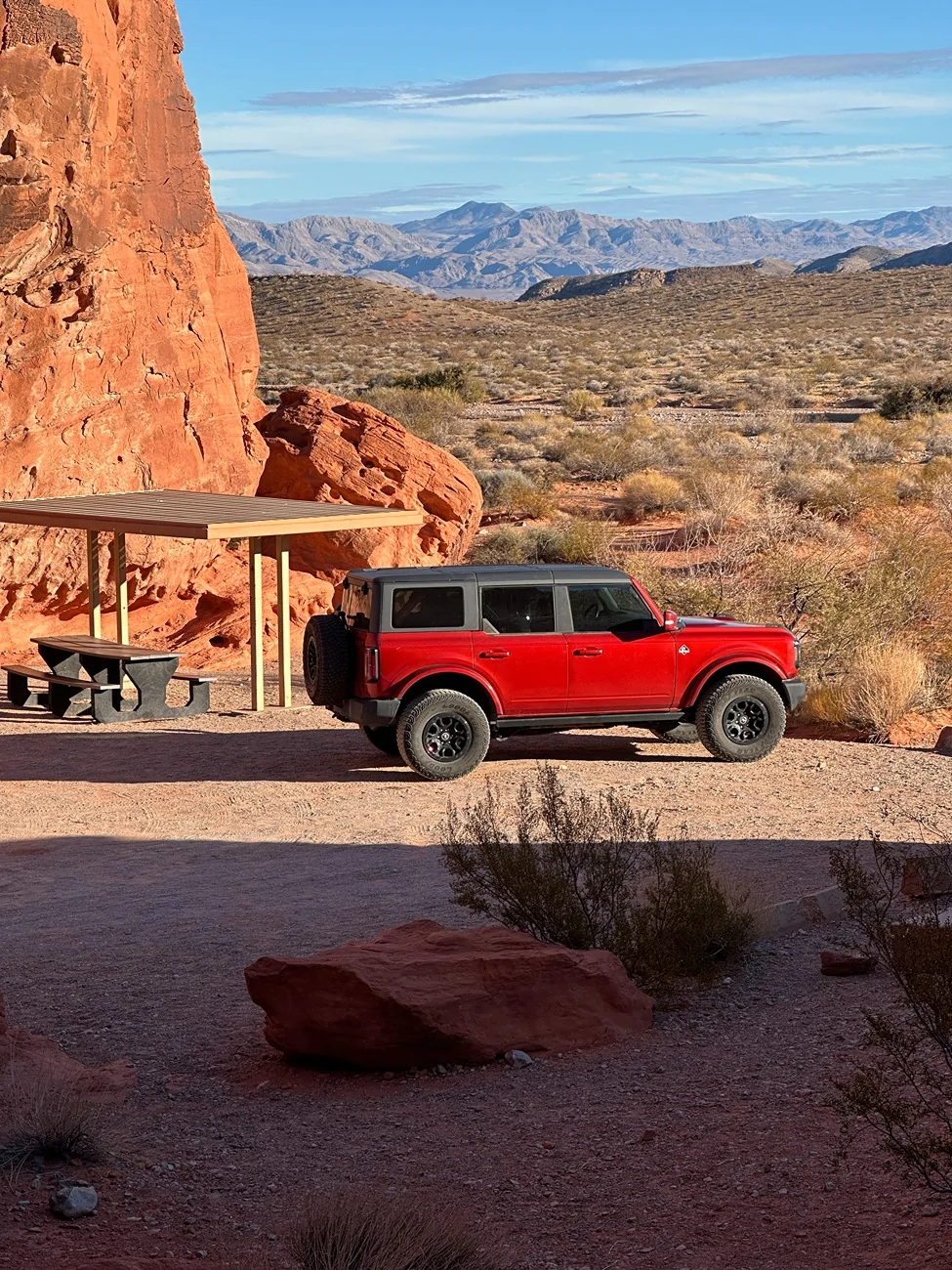 Ford Bronco Year 2 with Pepper IMG_7087