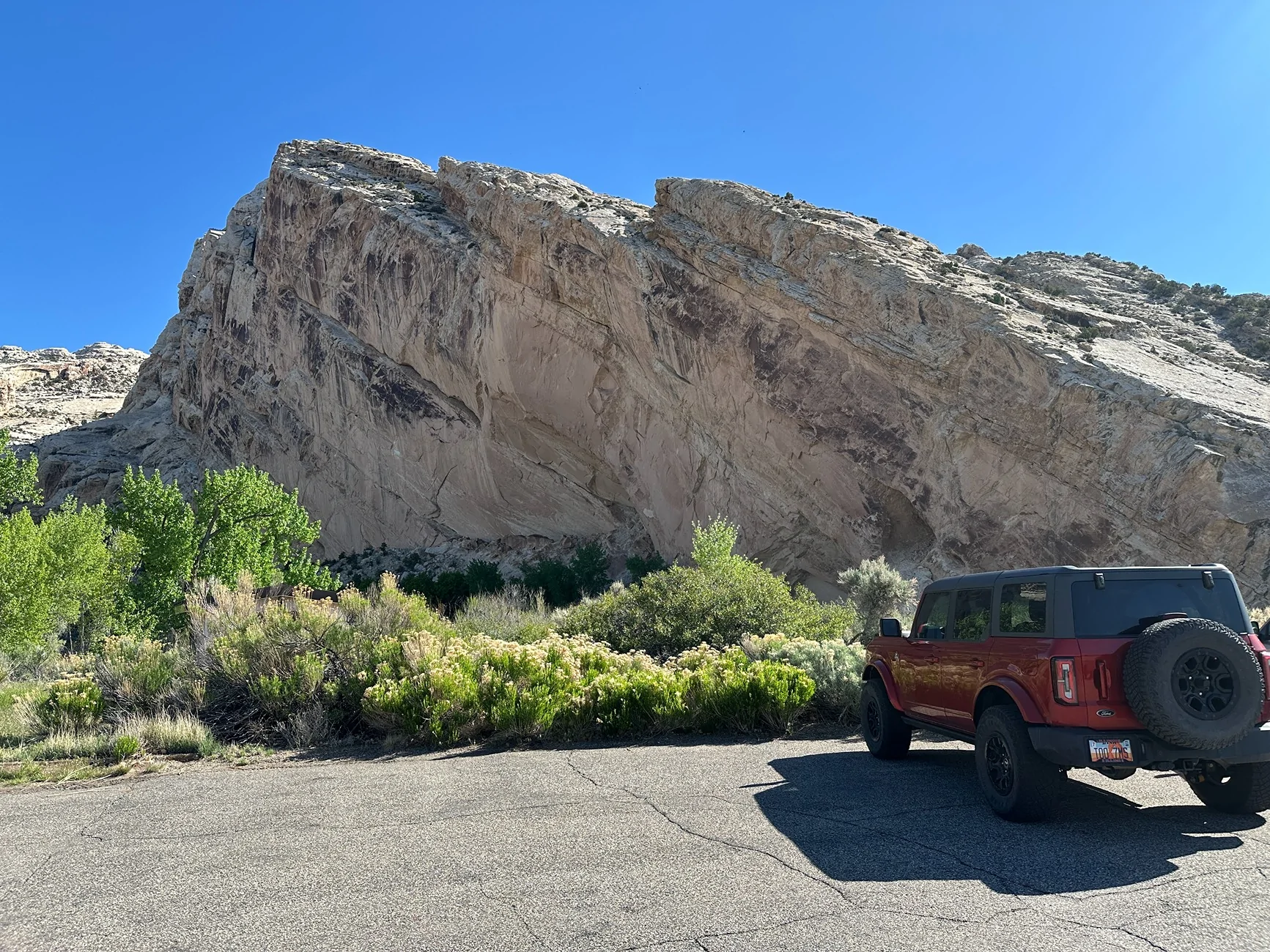 Ford Bronco Year 2 with Pepper IMG_7961