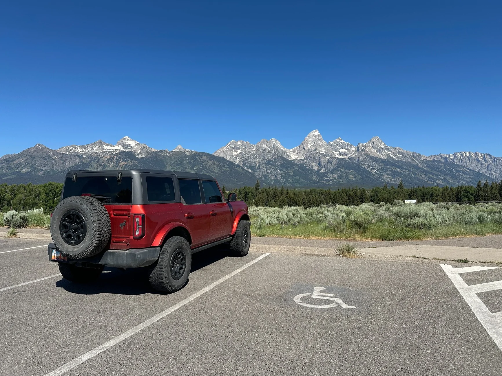Ford Bronco Year 2 with Pepper IMG_9160