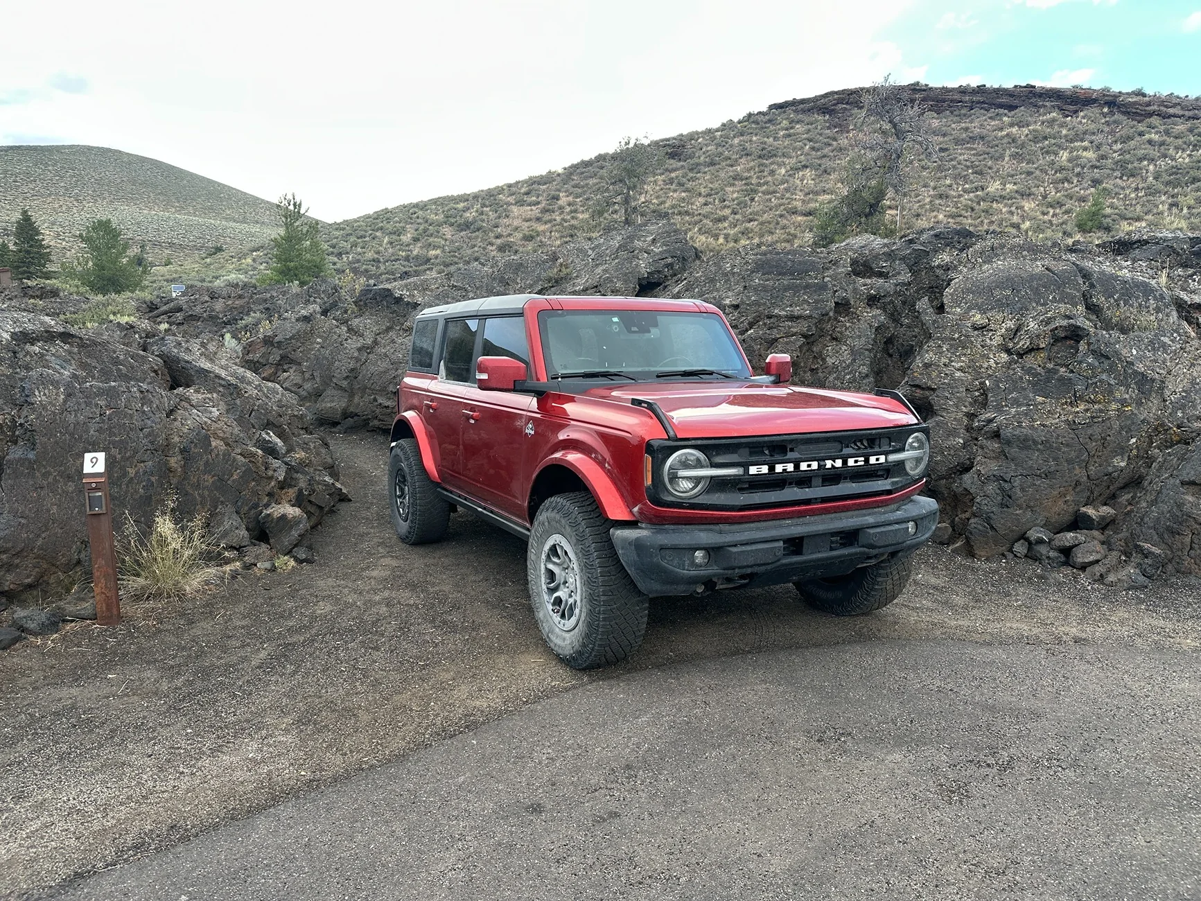 Ford Bronco Year 2 with Pepper IMG_9603