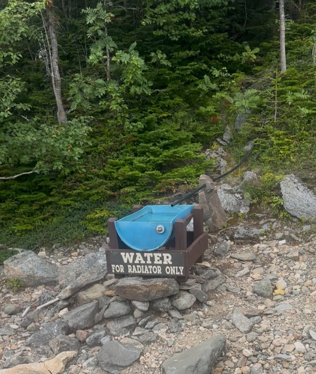Ford Bronco Topless up Mt. Washington 1000017049