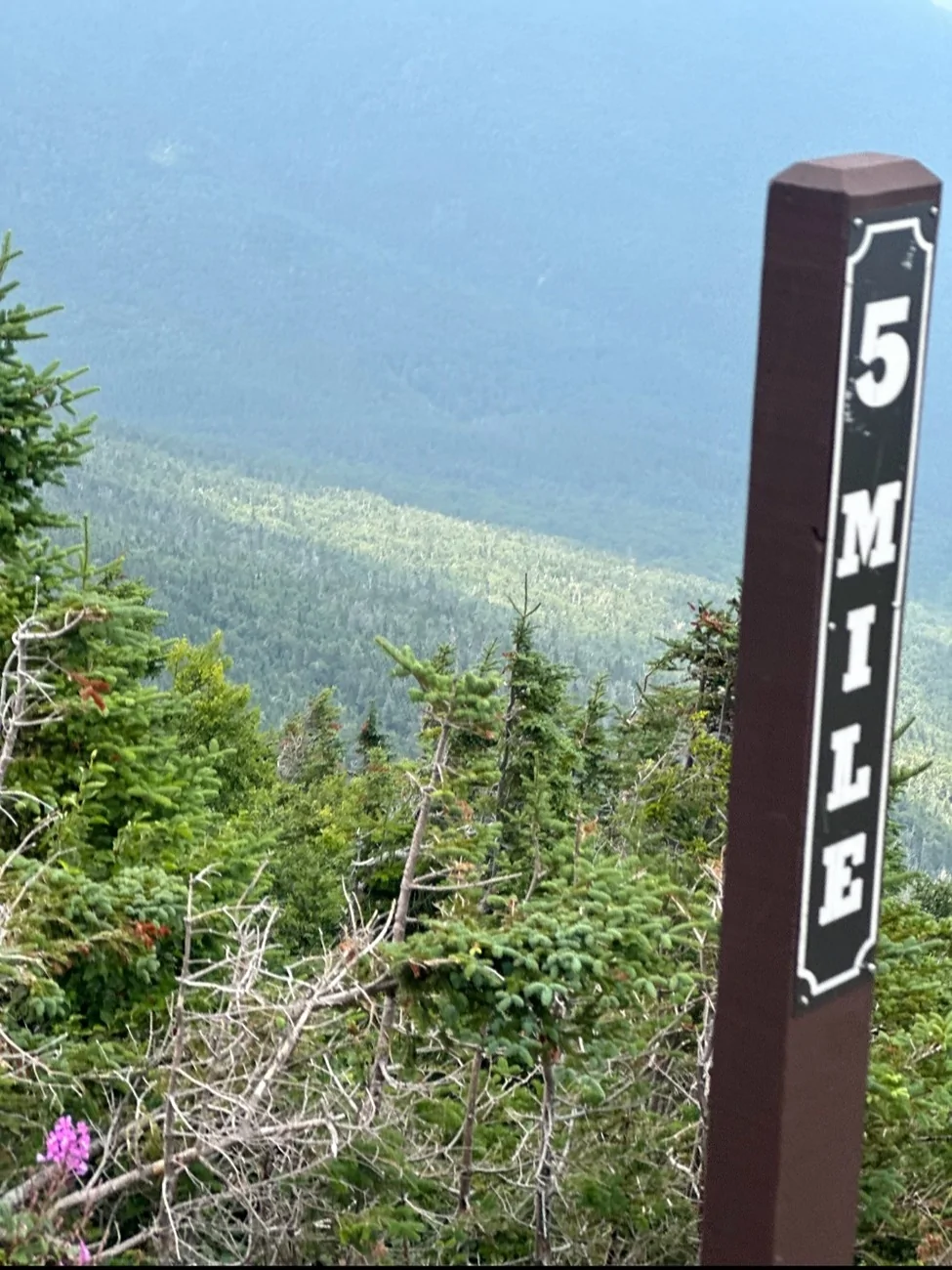 Ford Bronco Topless up Mt. Washington 1000017052