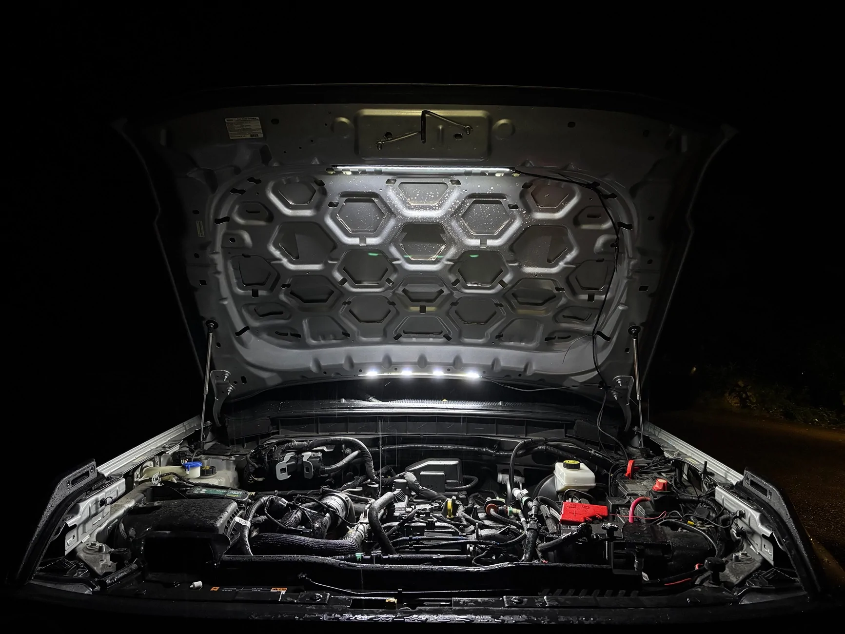 Ford Bronco F150LEDs - Automatic Engine Bay LED Kit IMG_2504