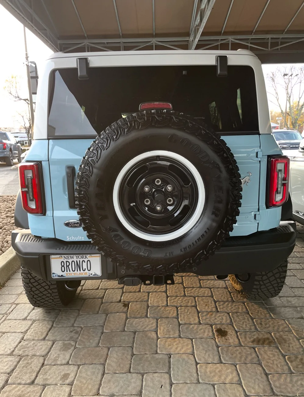 Ford Bronco Heritage Limited Edition Wheel Center Cap for Spare IMG_4661