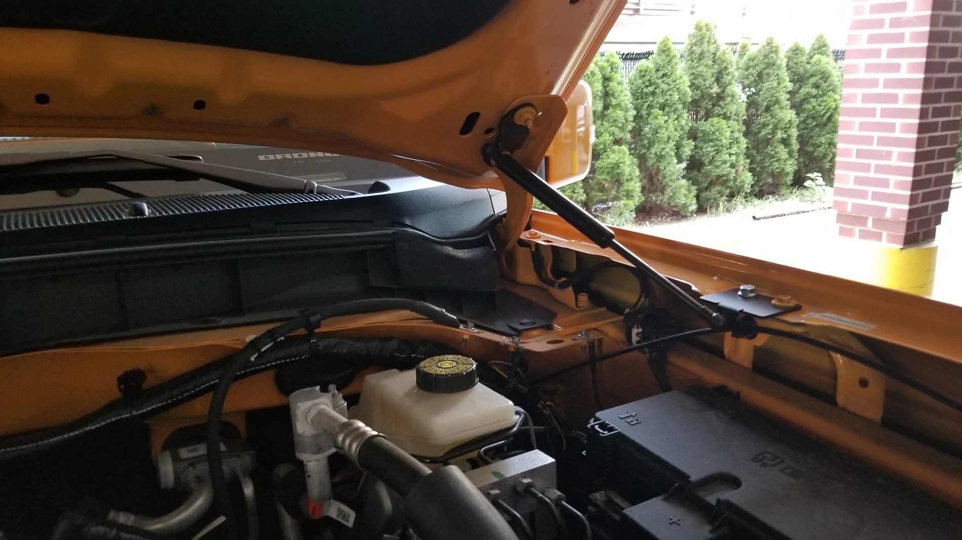 Ford Bronco Ford Performance Hood Struts installed 20221010_170026