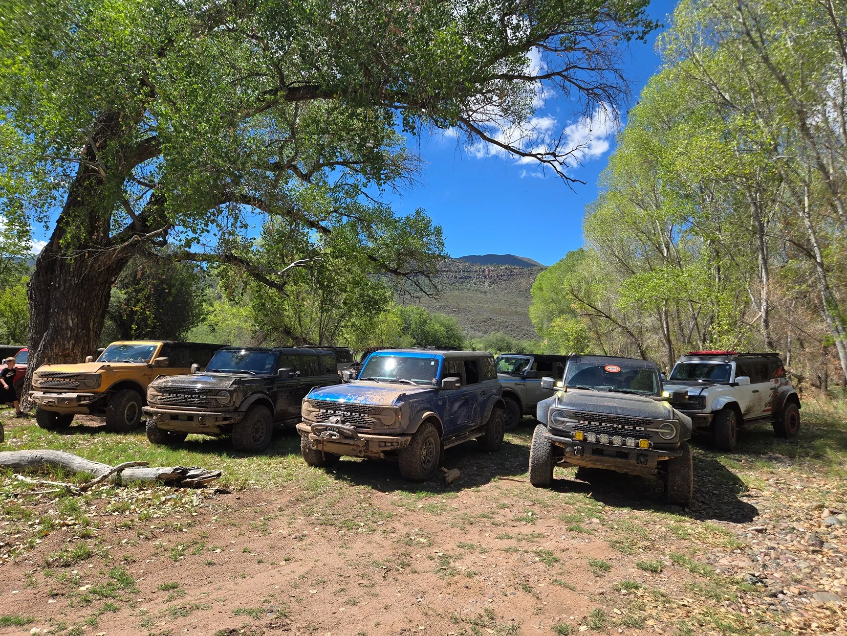 Ford Bronco What did you do TO / WITH your Bronco today? 👨🏻‍🔧🧰🚿🛠 20250830_104614