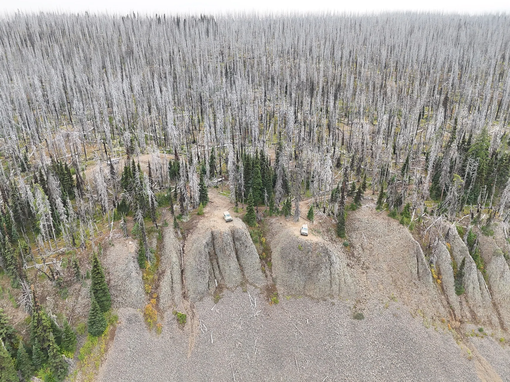 Ford Bronco Show us Your Weekend ADVENTURE! dji_fly_20250830_173252_0281_1756615835058_photo