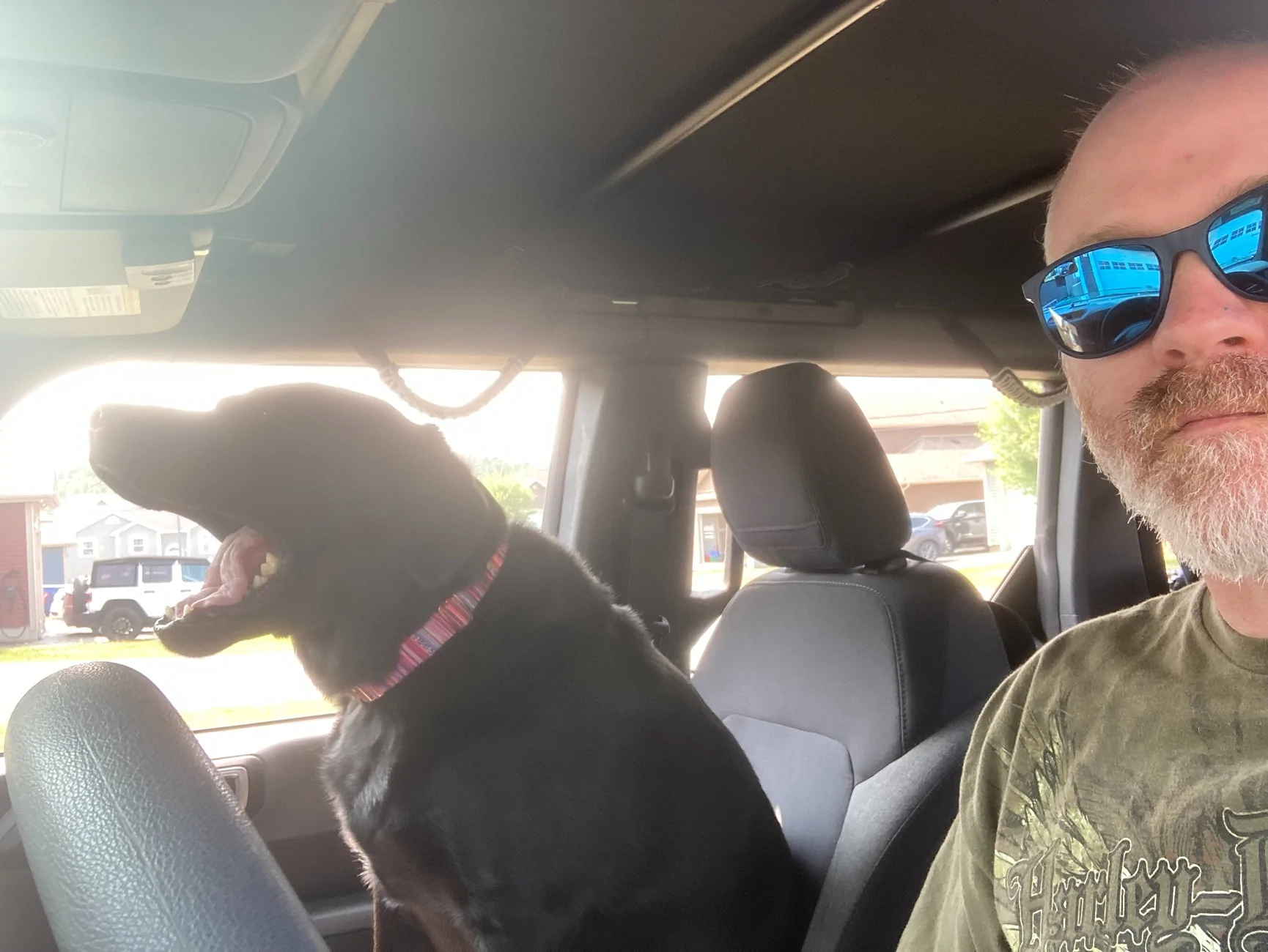 Ford Bronco Mabett Giveaway: Bronco and Pets, Let’s Hit the Road! 🐾 IMG_1717