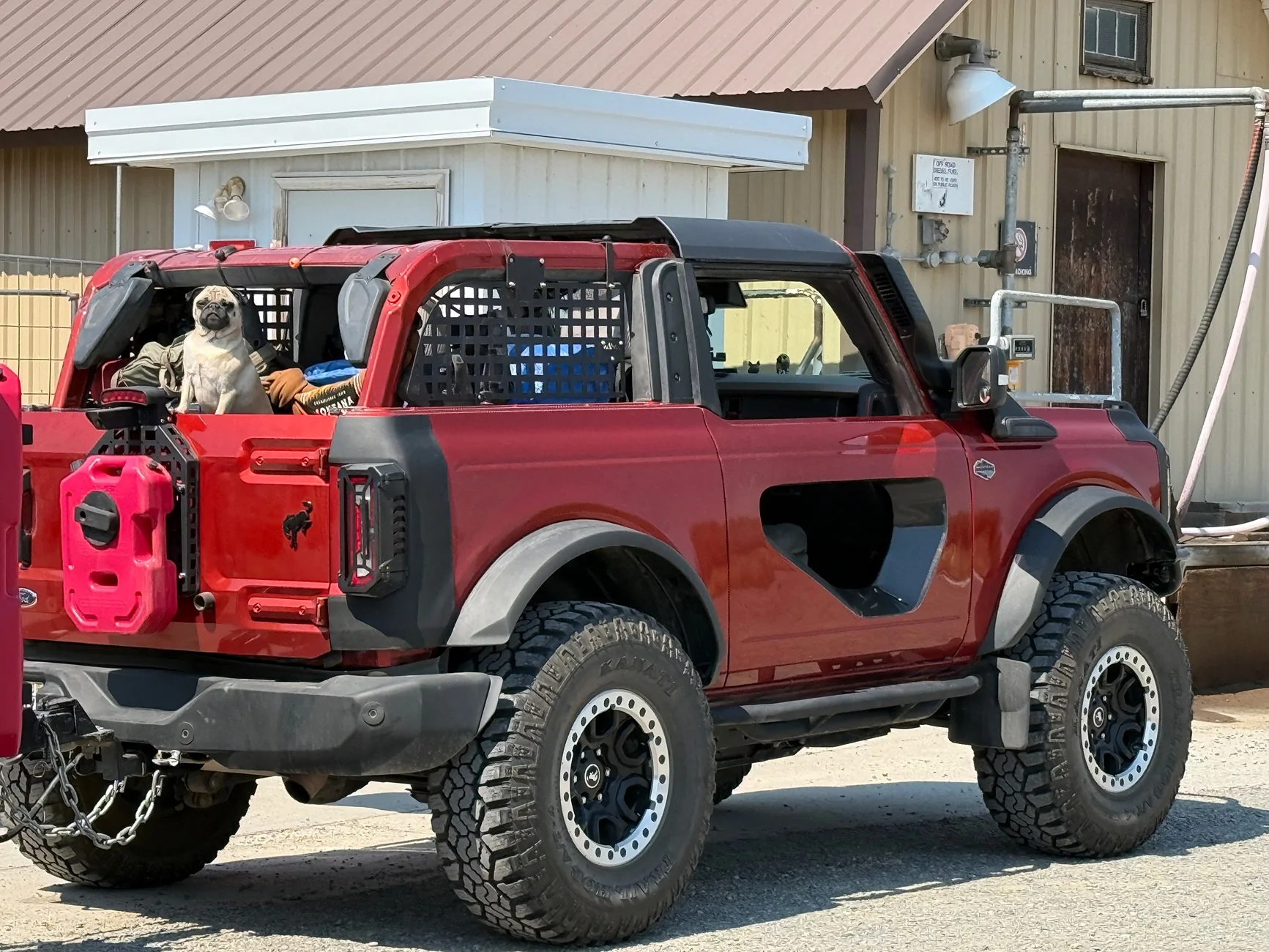 Ford Bronco Mabett Giveaway: Bronco and Pets, Let’s Hit the Road! 🐾 IMG_3050