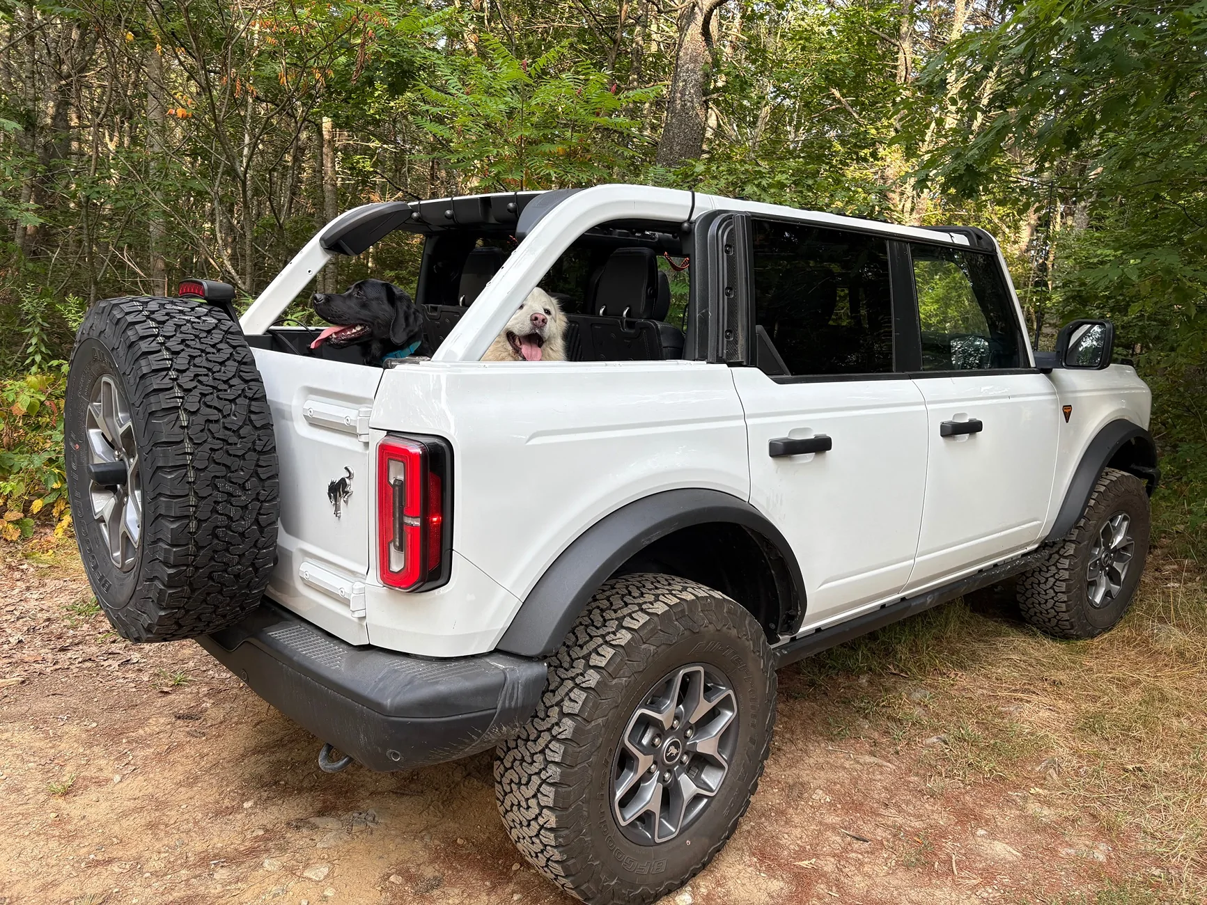 Ford Bronco Mabett Giveaway: Bronco and Pets, Let’s Hit the Road! 🐾 IMG_4192