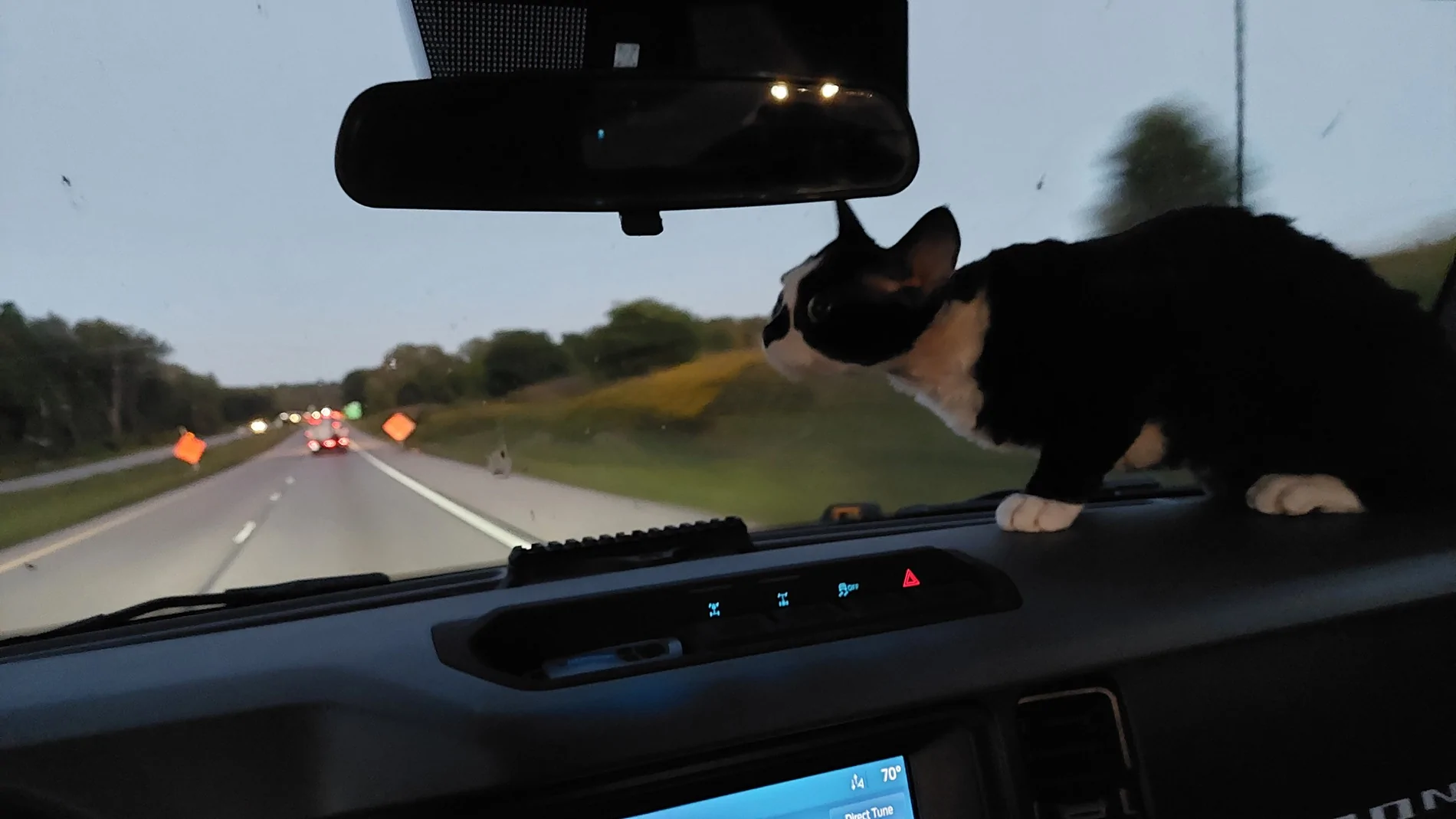 Ford Bronco Mabett Giveaway: Bronco and Pets, Let’s Hit the Road! 🐾 20220909_200829