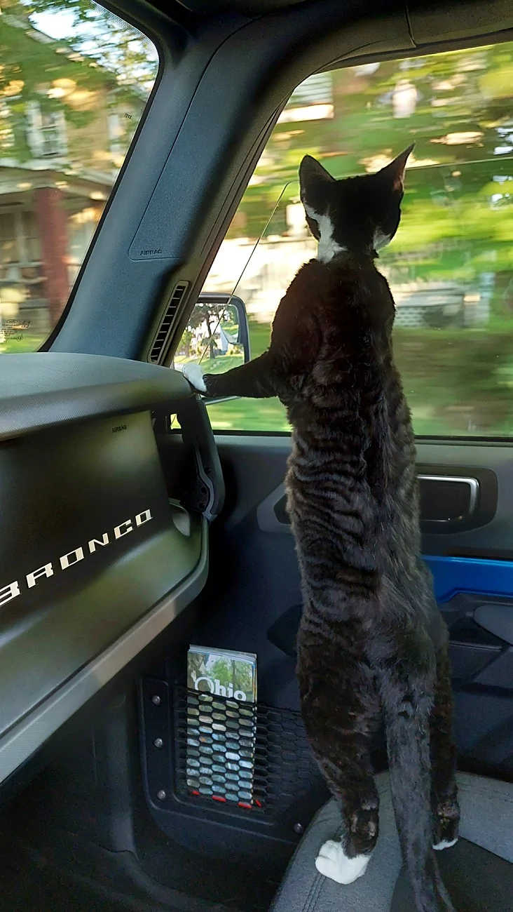 Ford Bronco Mabett Giveaway: Bronco and Pets, Let’s Hit the Road! 🐾 20220714_195556