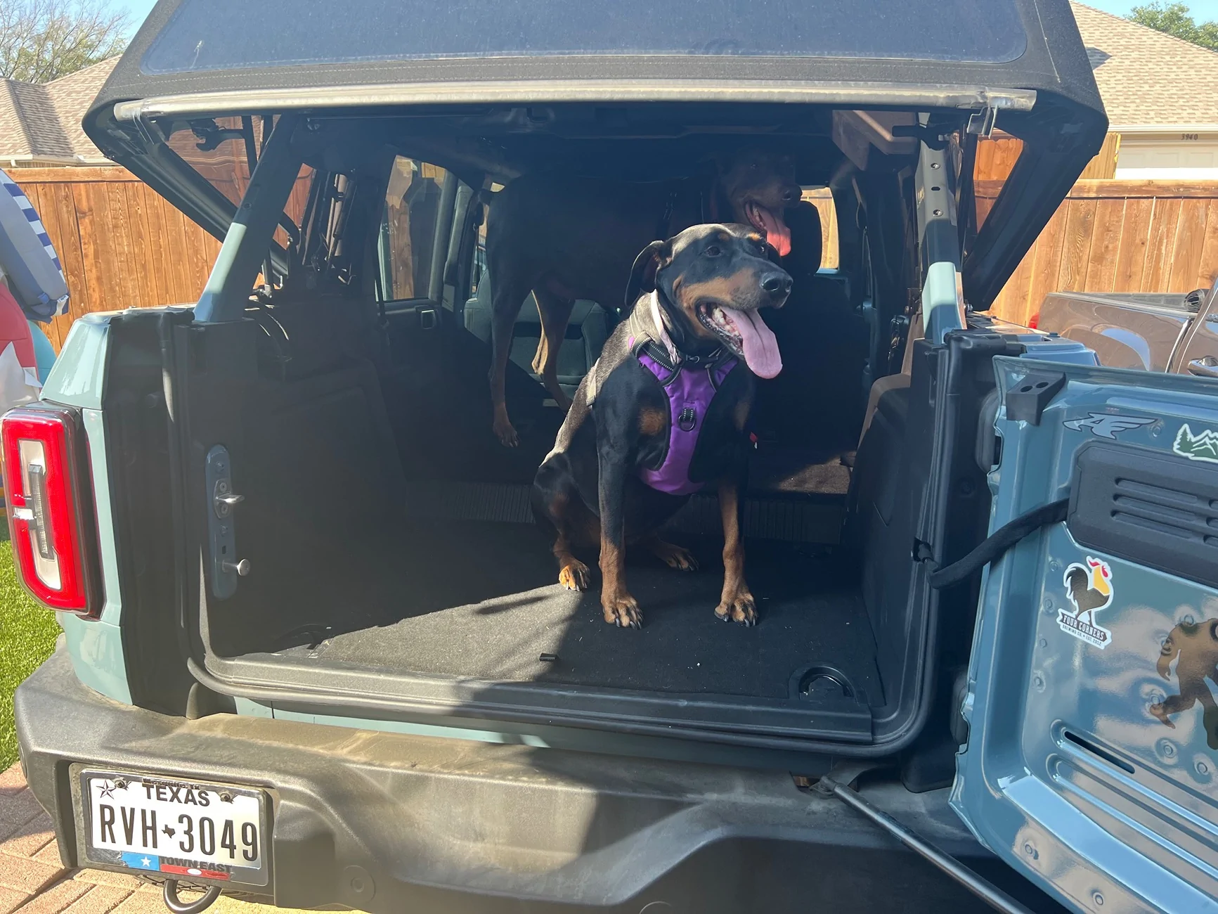 Ford Bronco Mabett Giveaway: Bronco and Pets, Let’s Hit the Road! 🐾 IMG_3288