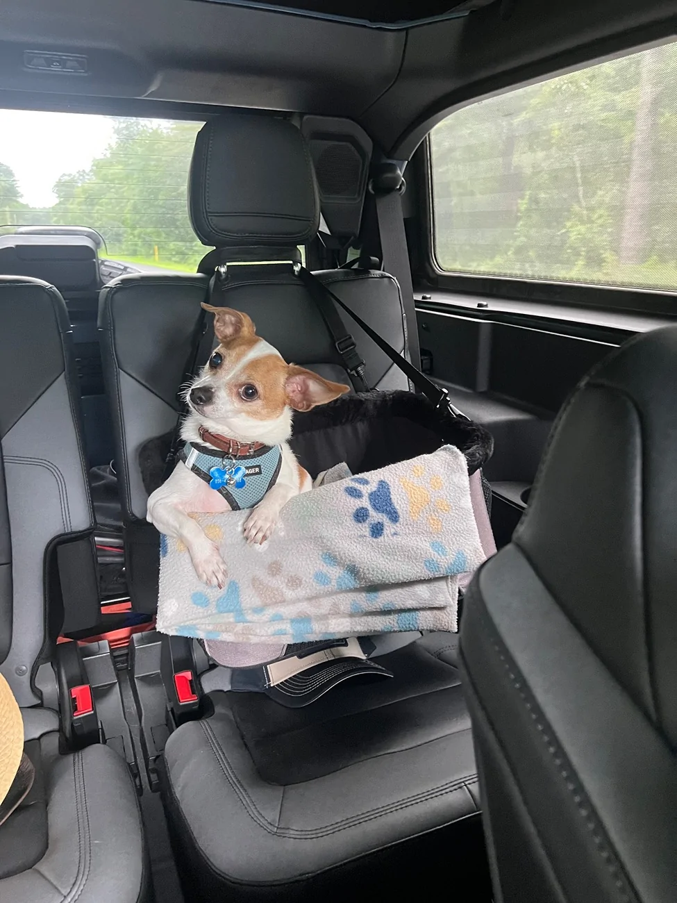 Ford Bronco Mabett Giveaway: Bronco and Pets, Let’s Hit the Road! 🐾 IMG_3995