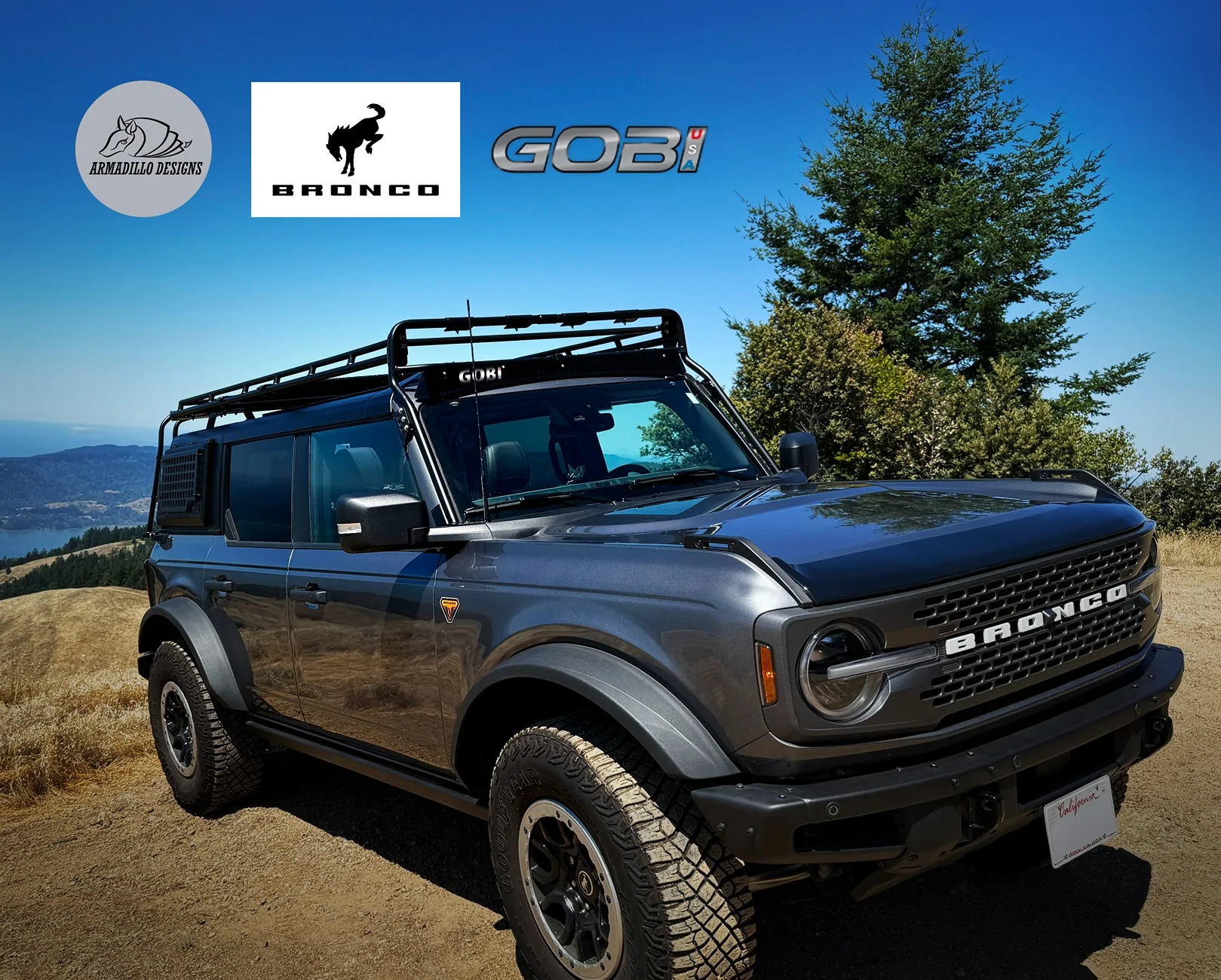 Ford Bronco Armadillo Designs Aluminum Hardtop Mangelo Bronco Mt Tam - Armadillo Gobi 2025-0821_8278 logos