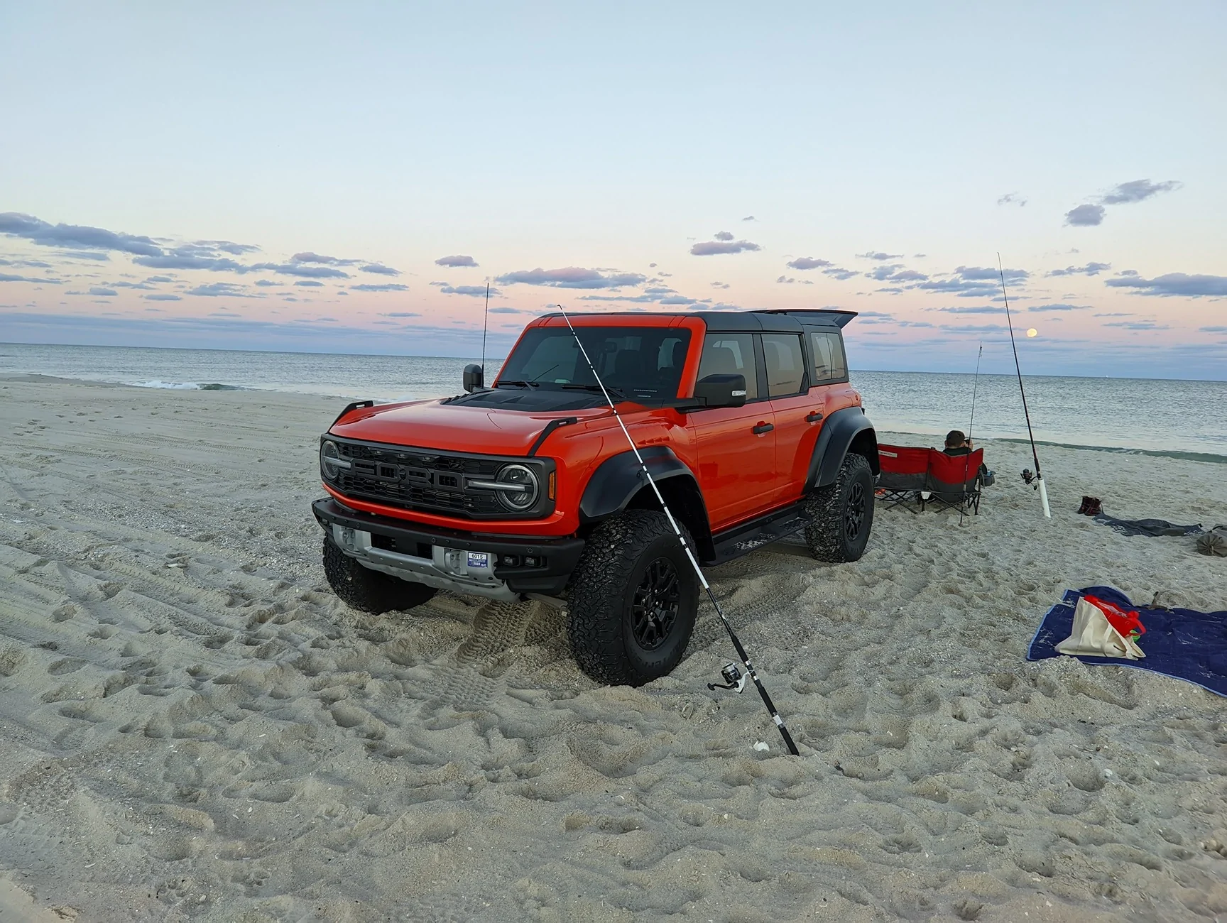 Braptor Beach.webp