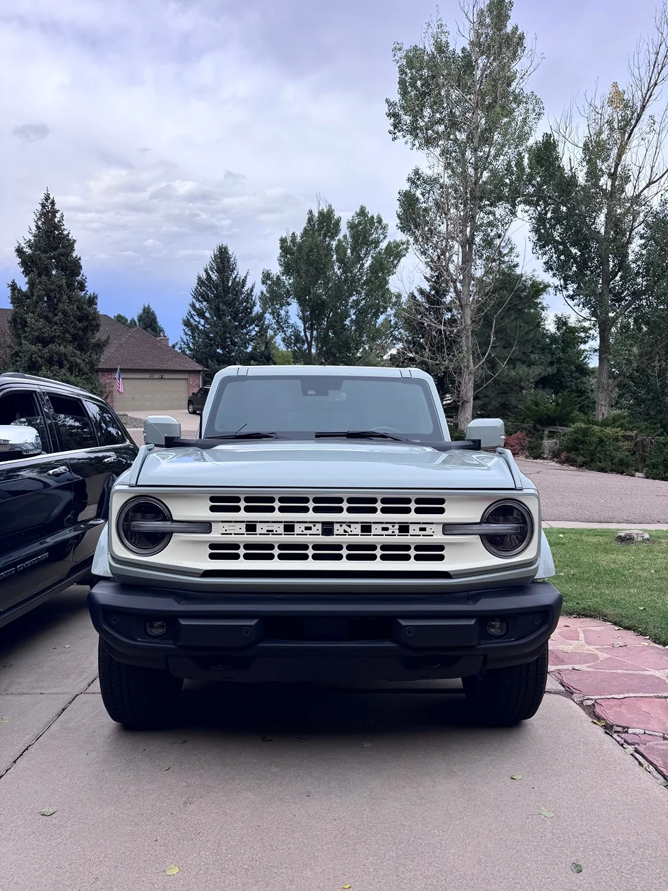 Ford Bronco CACTUS GRAY Bronco Club IMG_1423