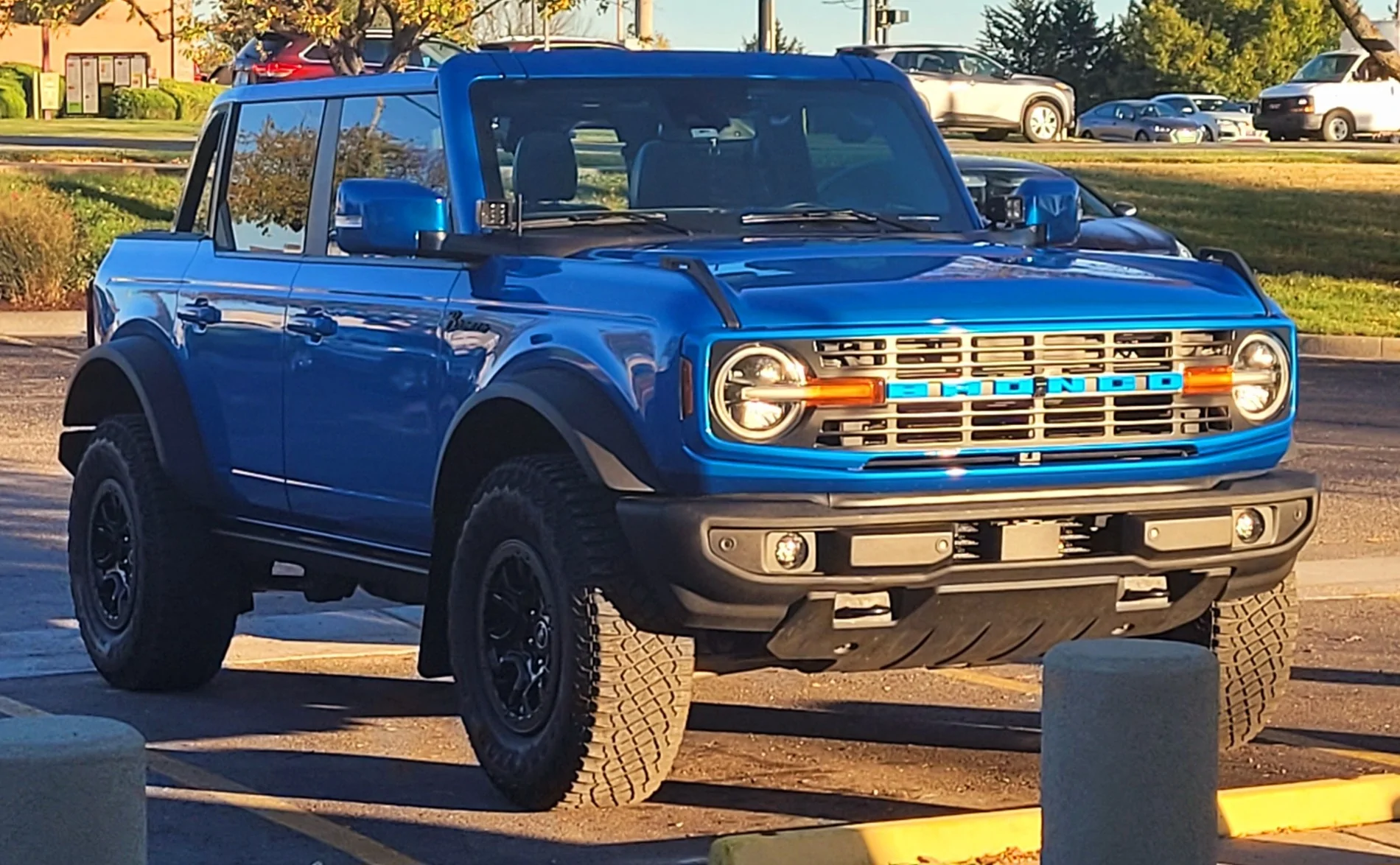 Ford Bronco Vintage grille in black 20241106_162717