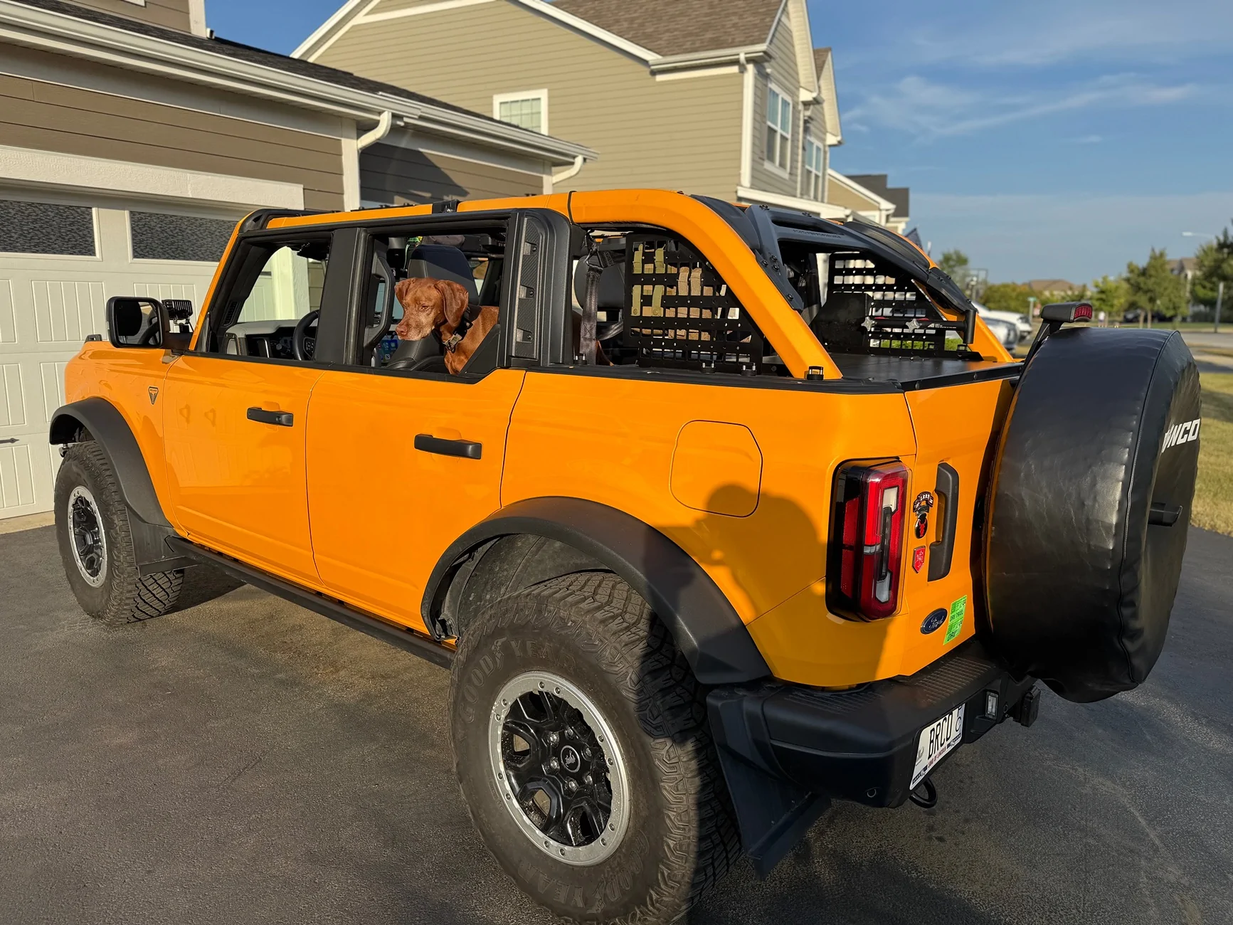 Ford Bronco Soft Top + Dogs? IMG_5724