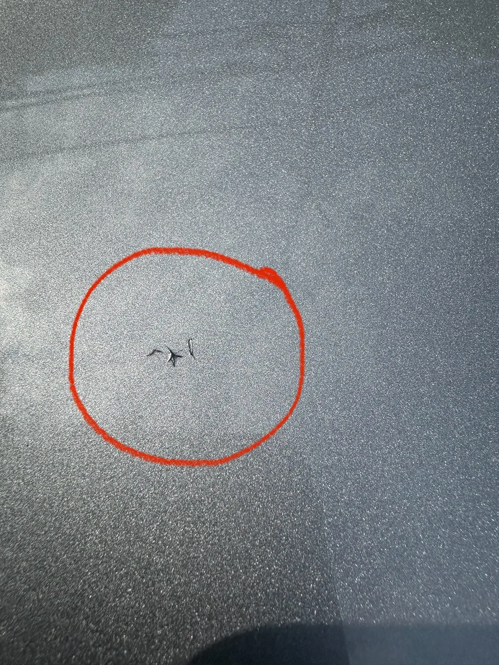 Ford Bronco Paint cracking on hood and bumper IMG_5748