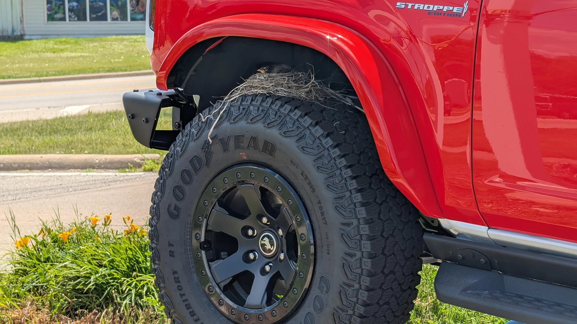 Ford Bronco Stroppe Edition registry - add yours SLA20467