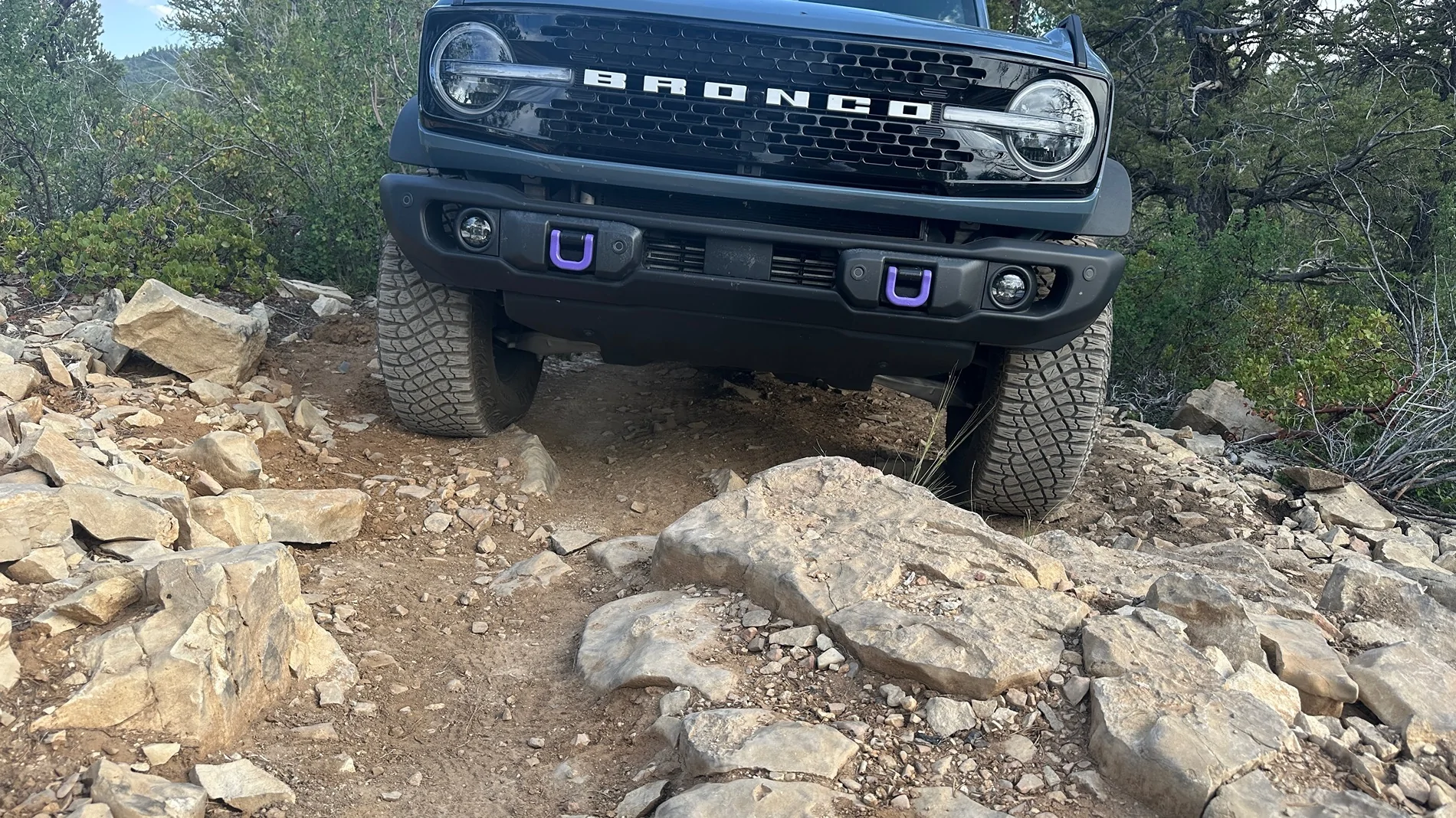 Ford Bronco One rattle can, 2 Broncos - Capable Bumpers get a makeover IMG_6737