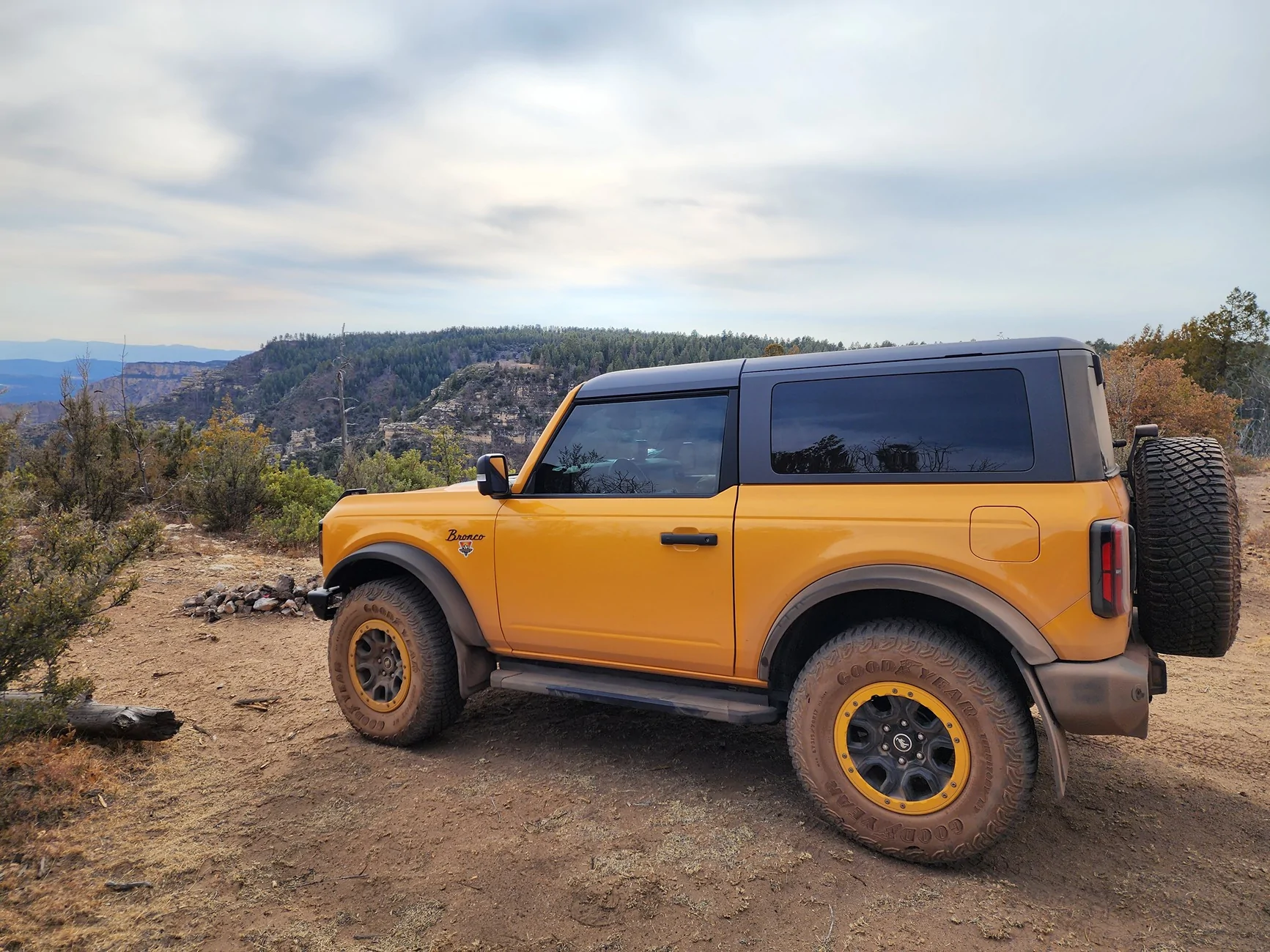 Ford Bronco Bead lock trim rings - black paint DIY? 1000001321