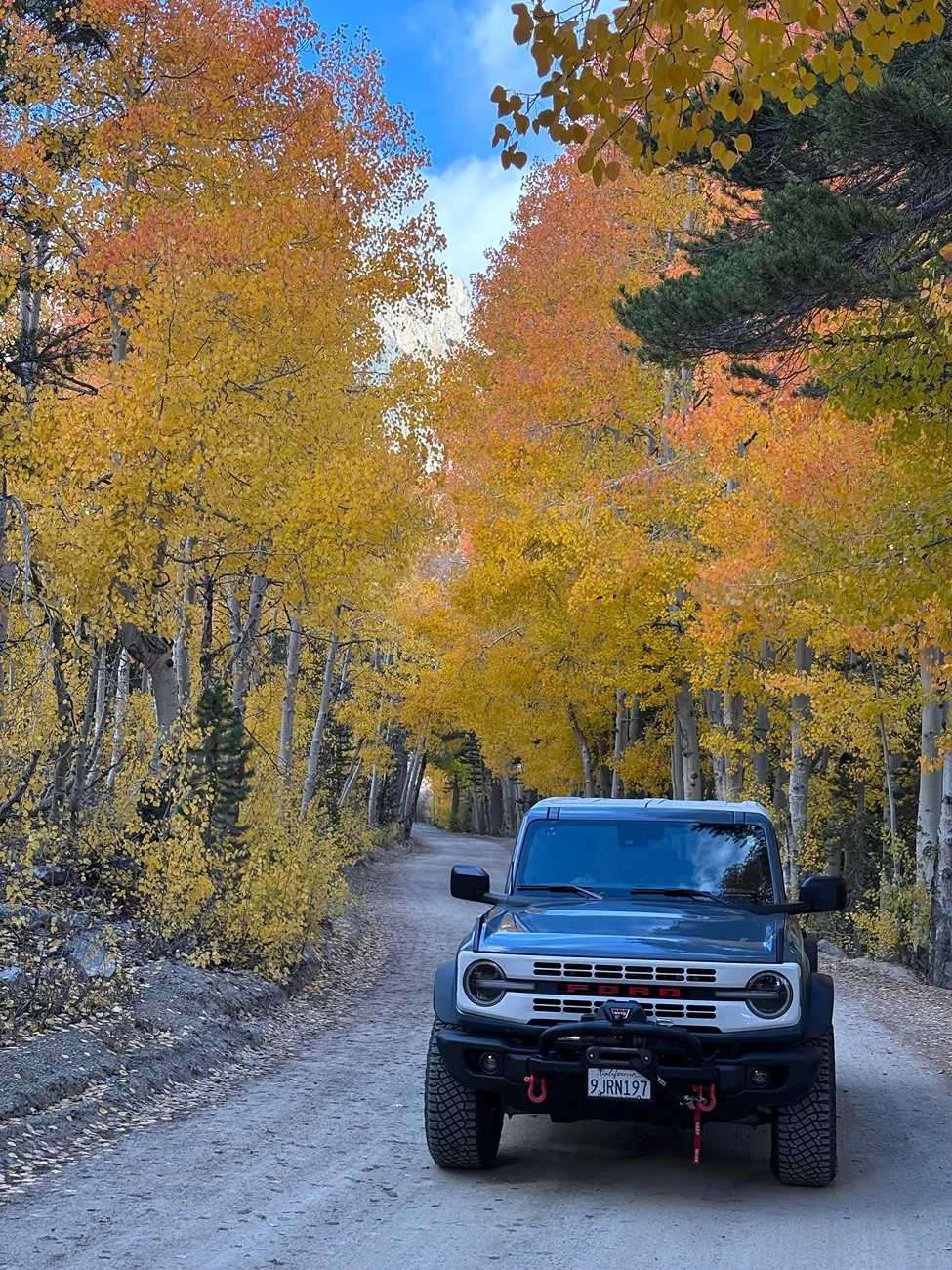 Ford Bronco Autumn colors & Bronco - Post them up! IMG_2269