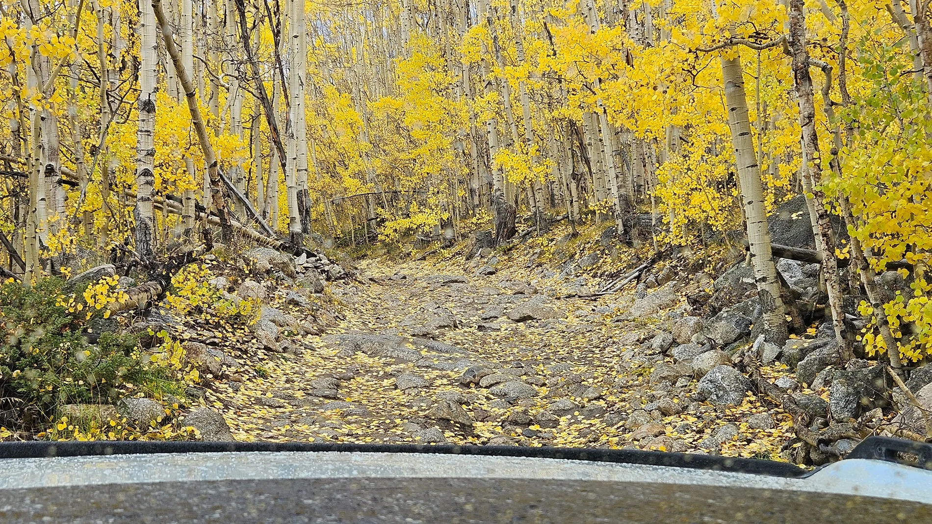 Ford Bronco Autumn colors & Bronco - Post them up! 20251004_151005