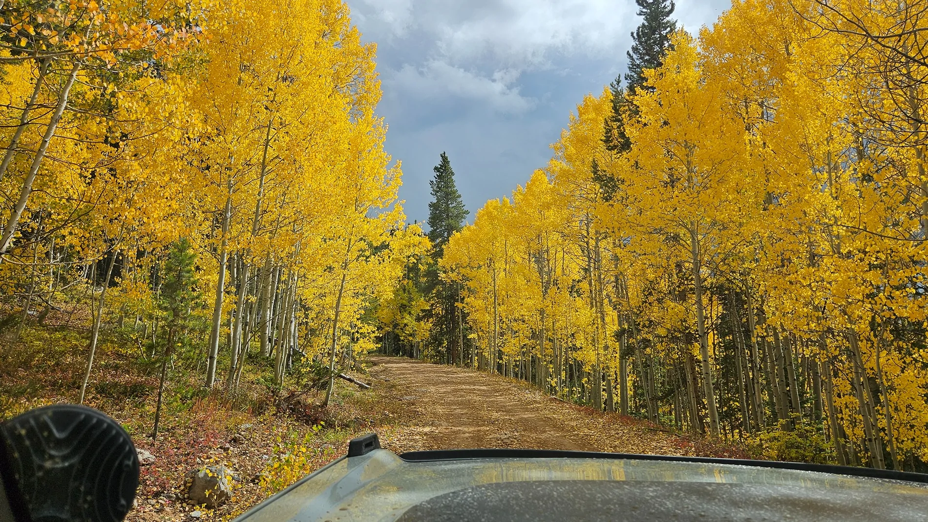 Ford Bronco Autumn colors & Bronco - Post them up! 20250920_142712