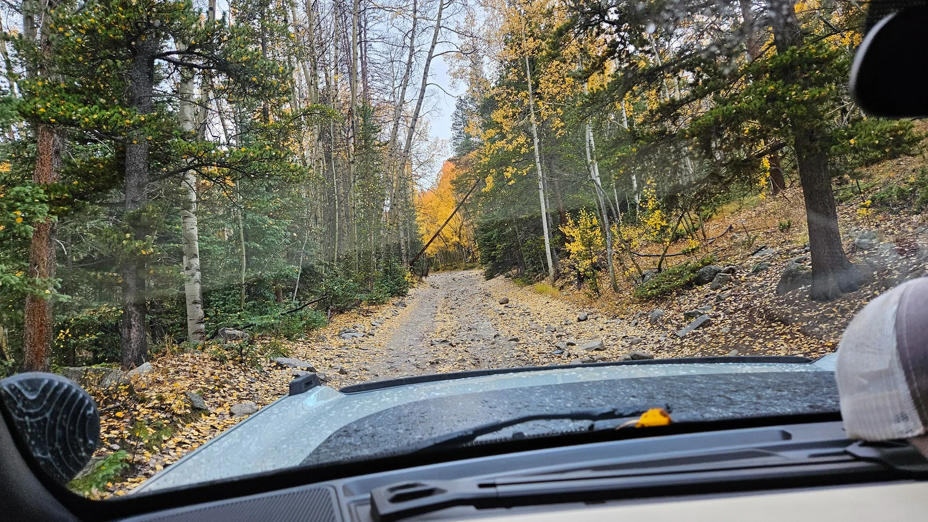 Ford Bronco Autumn colors & Bronco - Post them up! 20251004_114140