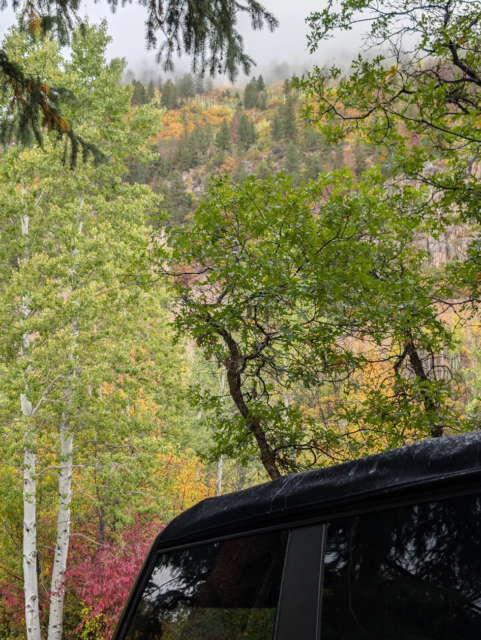 Ford Bronco 5,000 mile / 14 day trip from Houston to Glacier, Yellowstone, Canyonlands, other parks (photos and report) PXL_20250922_234011725