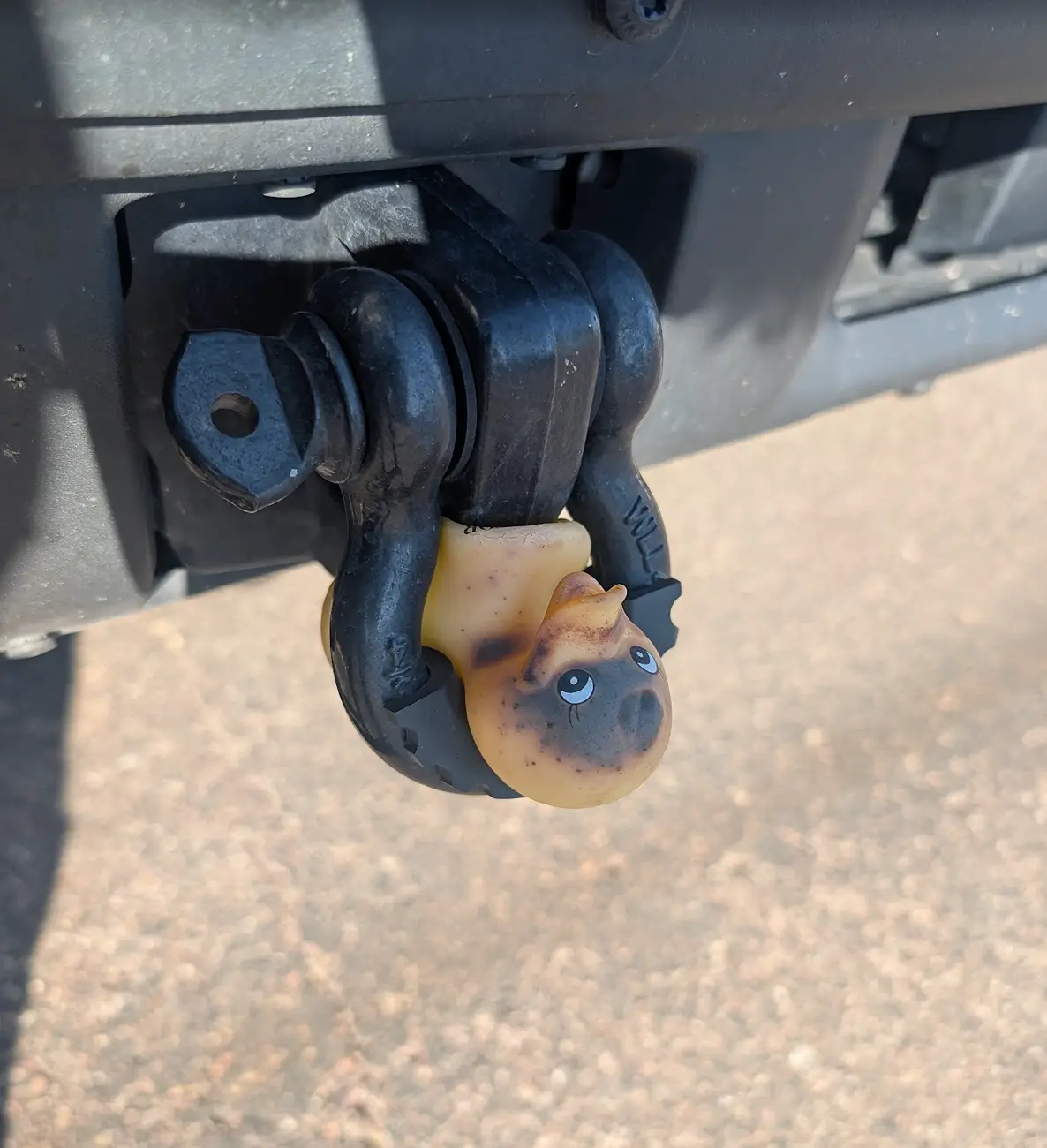 Ford Bronco Tagging another Bronco 1759855517671-md