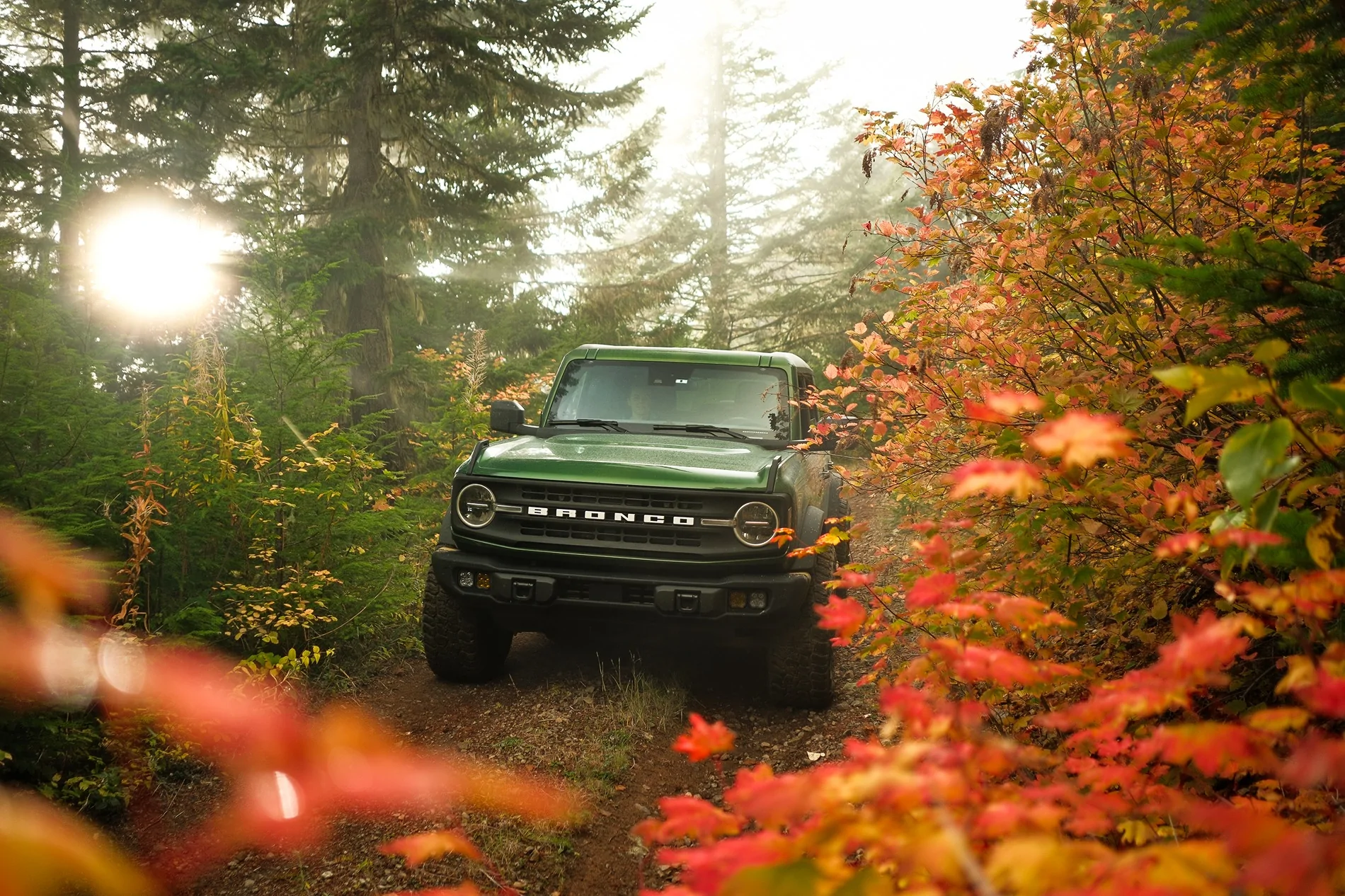 Ford Bronco Fall in the Northwest 🍂 📸 DSCF4098-3