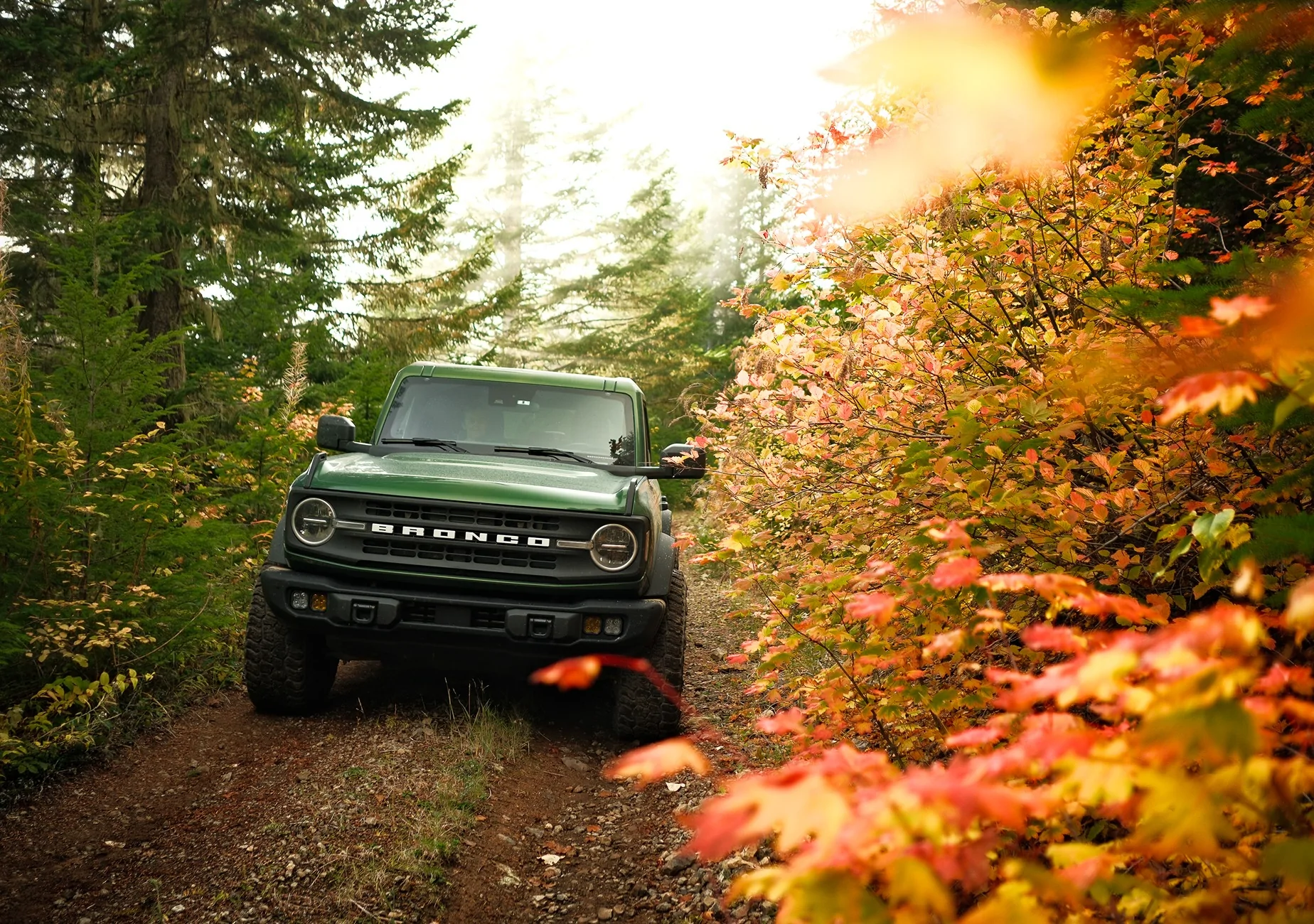 Ford Bronco Fall in the Northwest 🍂 📸 DSCF4097